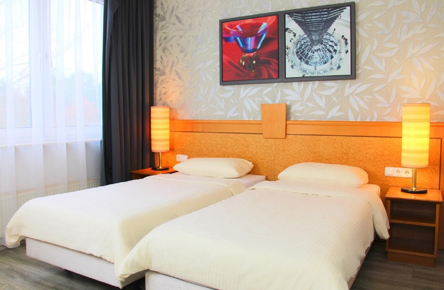 Deluxe Double or Twin Room