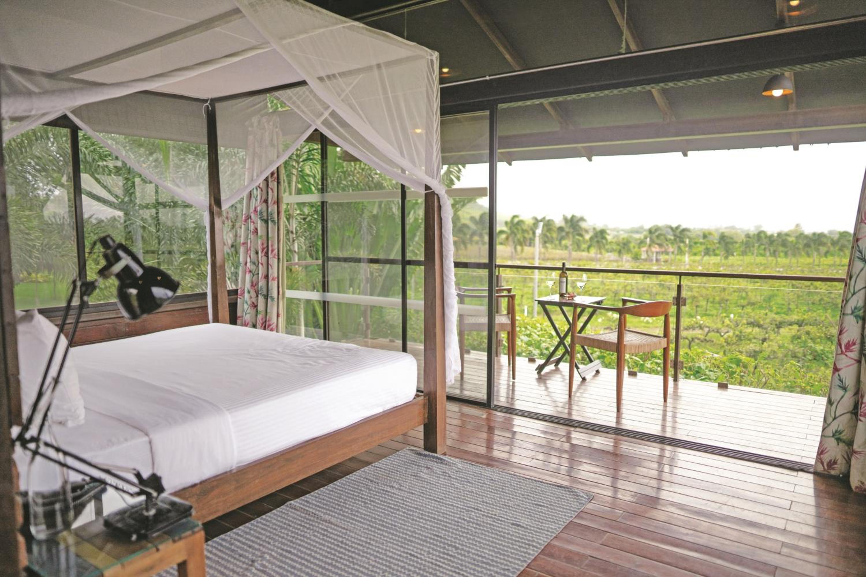 Tree House Vineyard view with Wine tour & Tasting experience at Sula Vineyards, 10% discount on spa & Complimentary welcome drinks on arrival, Happy Hours (1+1) from 4 to 7 pm