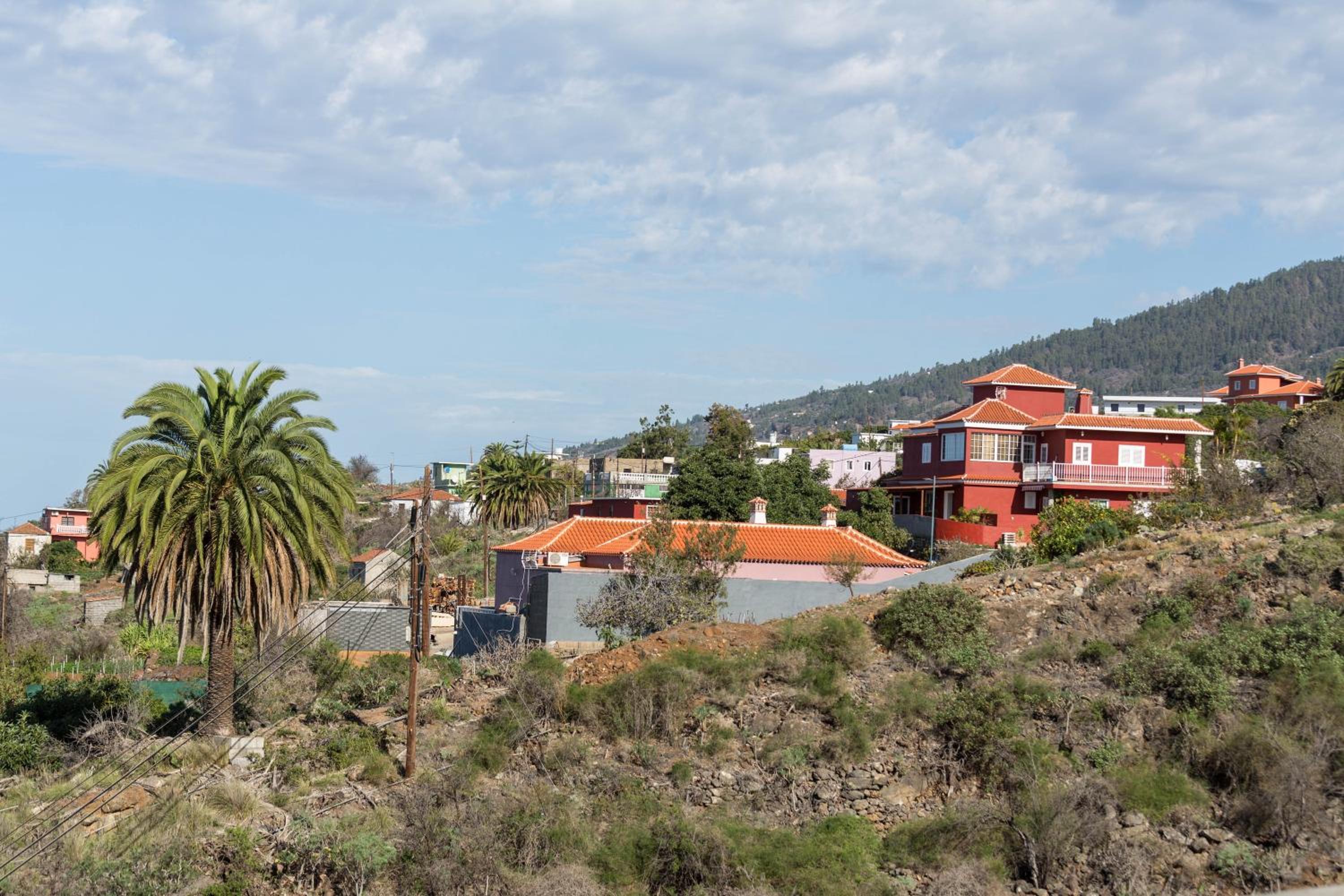 Studio Apartment with Sea View photo 3