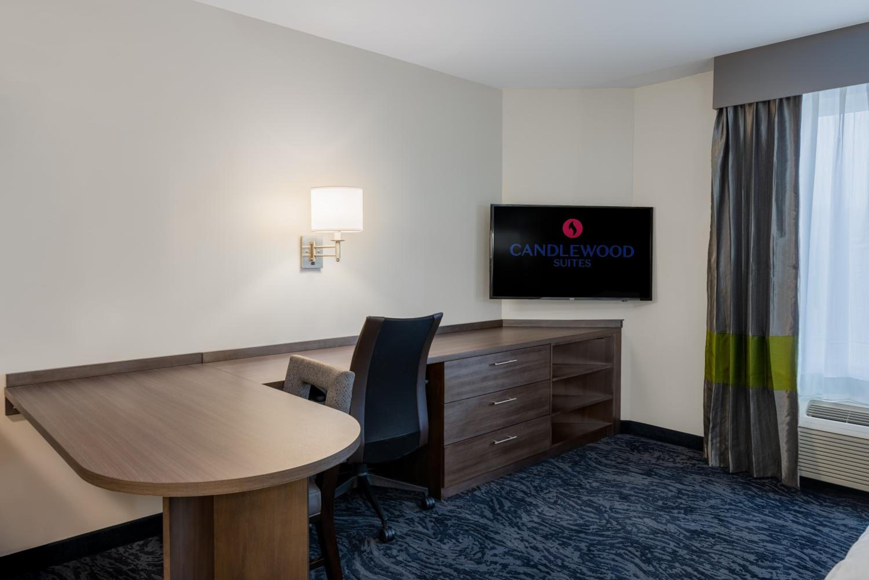 Studio Suite - Photo 9