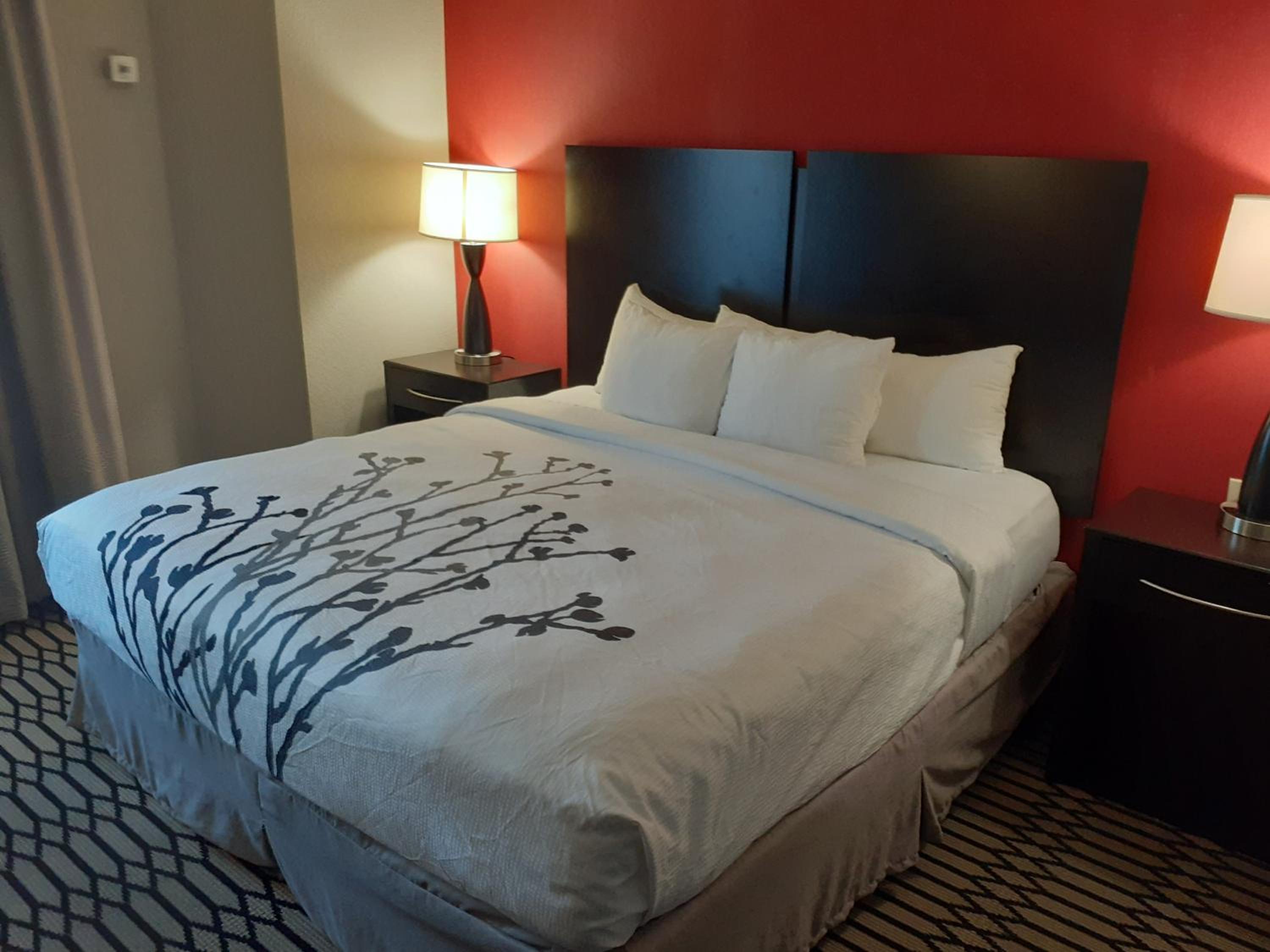 King Suite With Sofa Bed - Non-Smoking