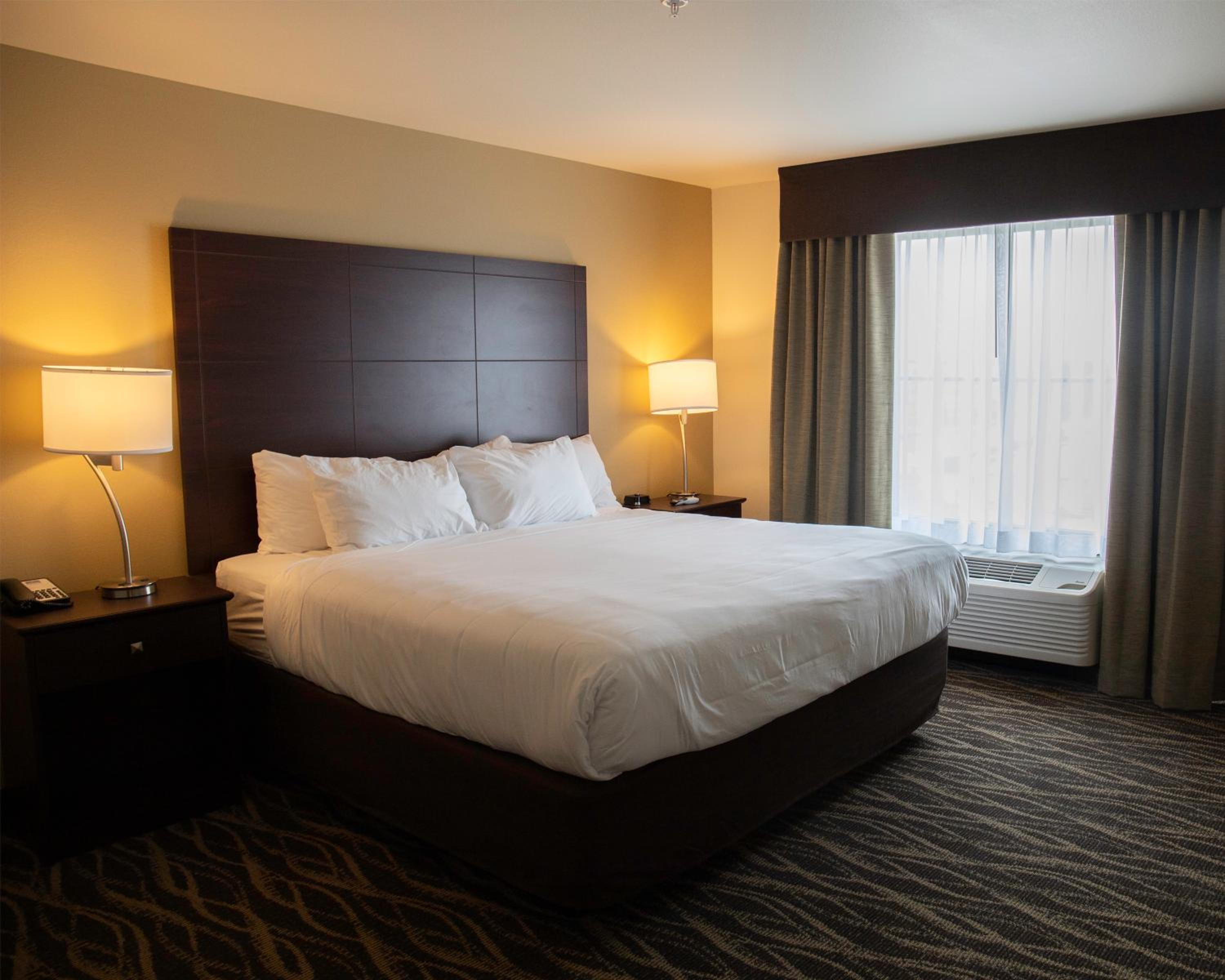 King Room - Disability Access - Photo 3