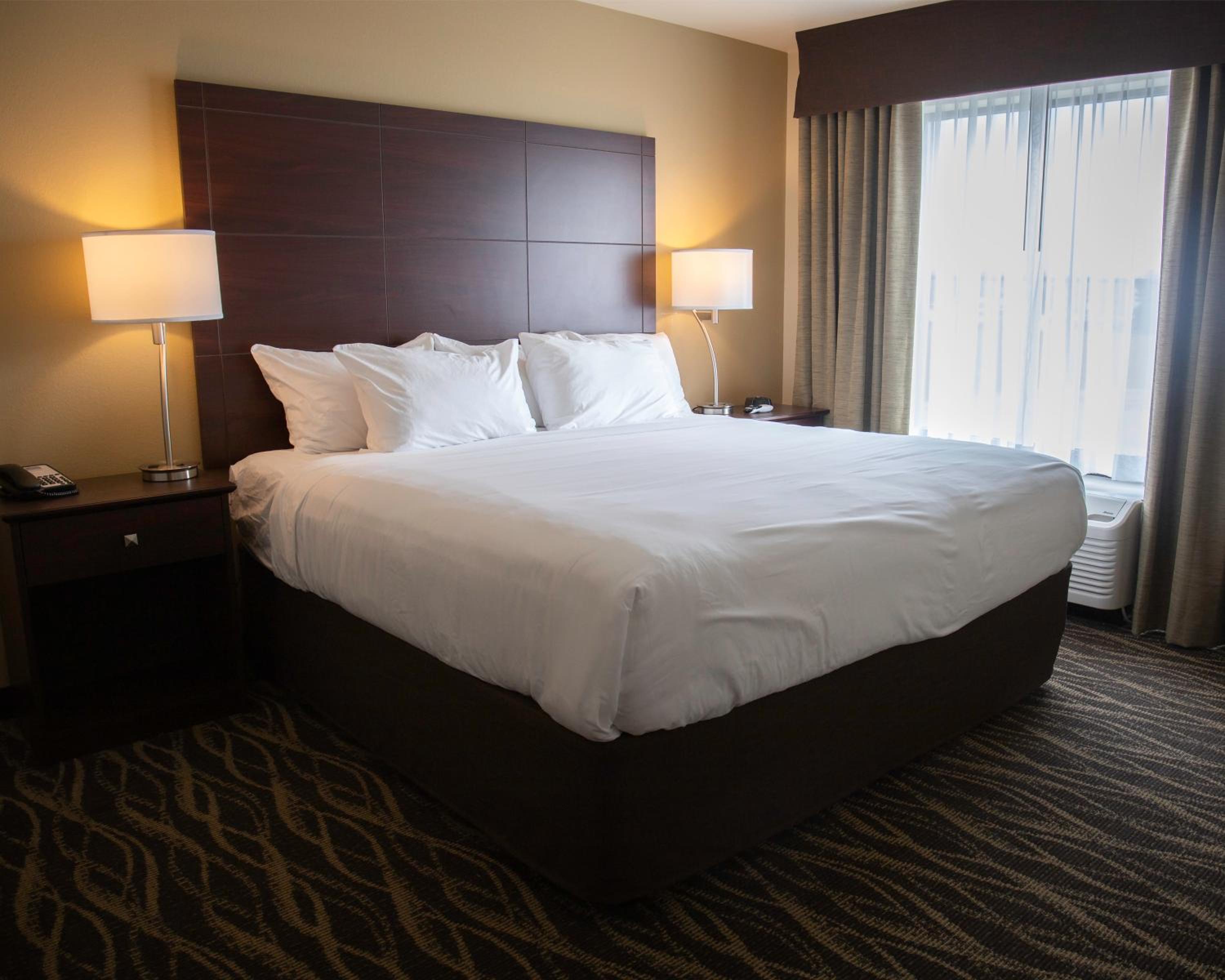 King Room - Disability Access - Photo 4
