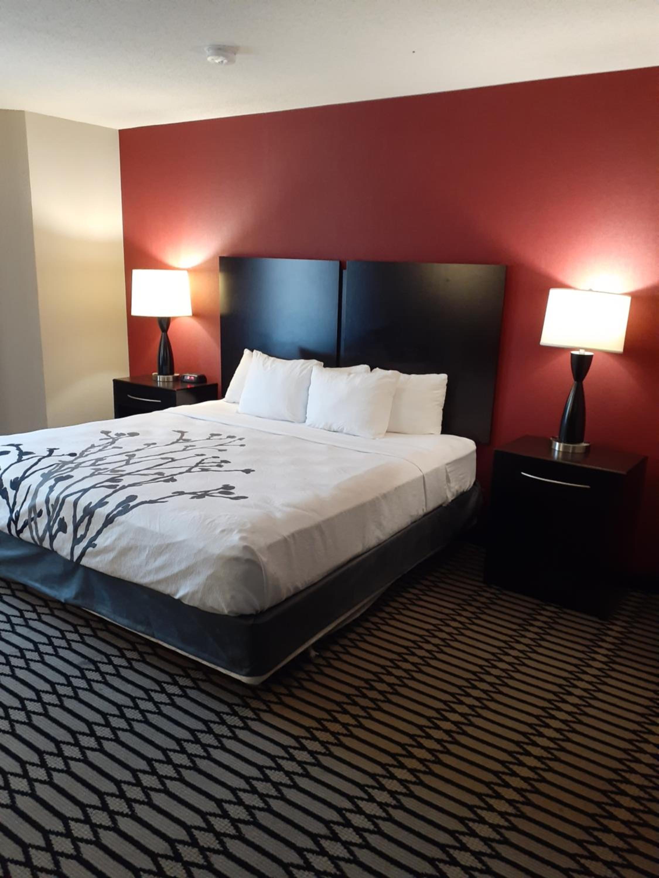 King Room With Roll-In Shower - Accessible/Non-Smoking