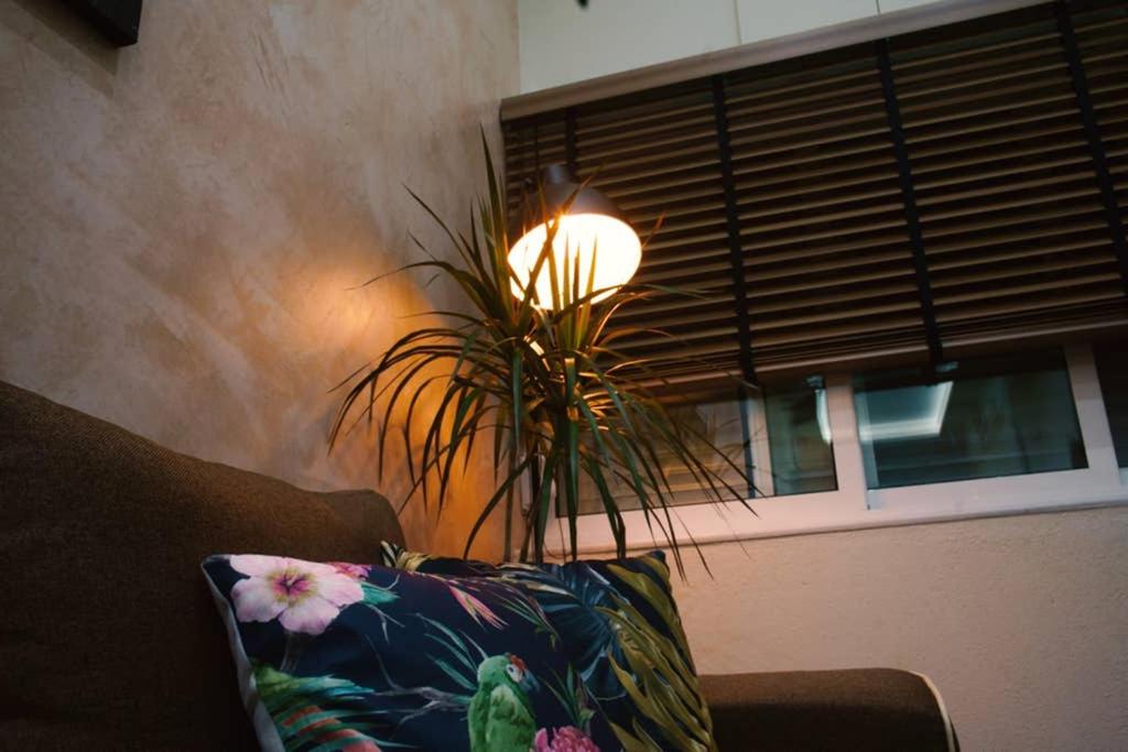 One-Bedroom Apartment - Photo 3