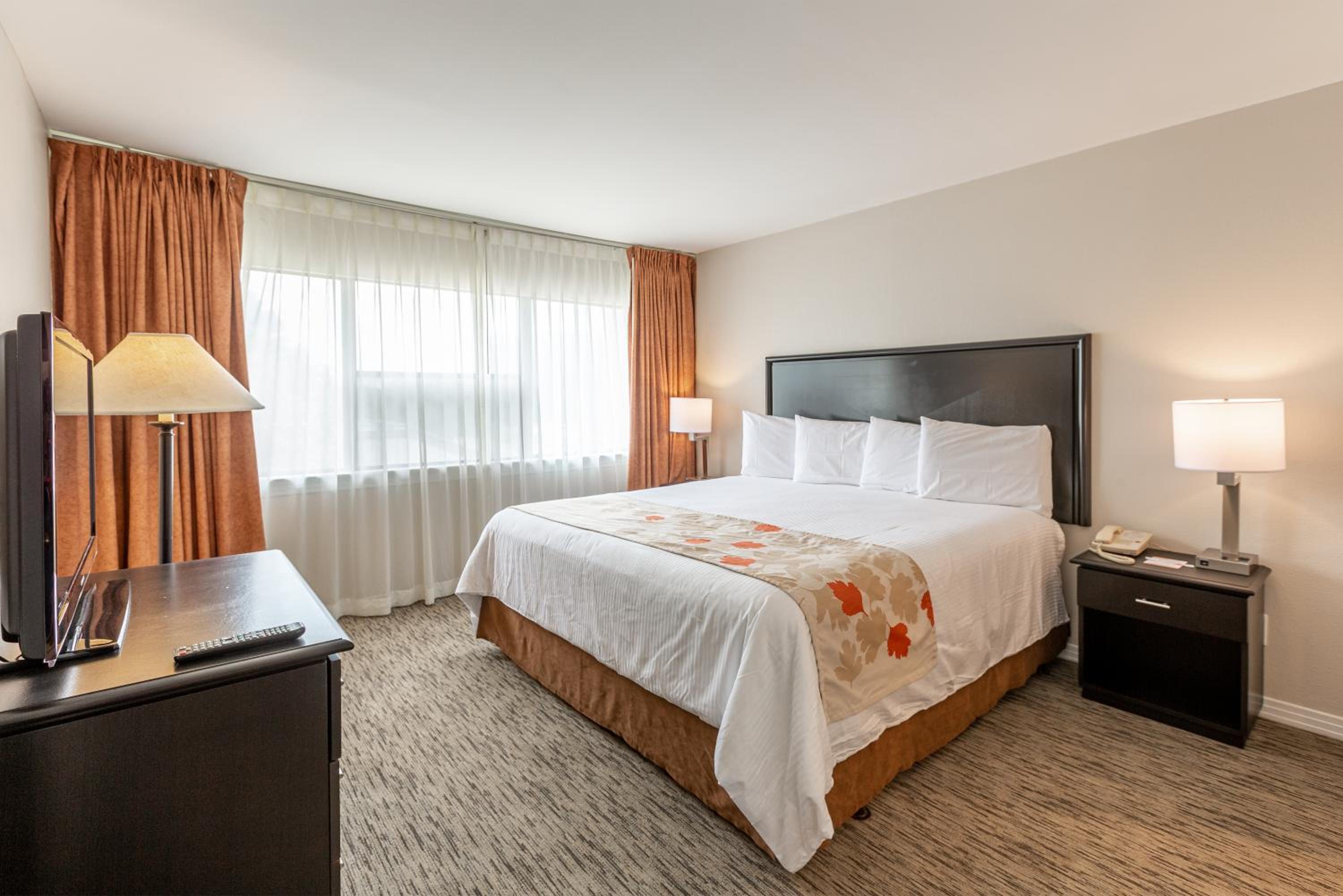 One Bedroom King Suite- Non-Smoking - Photo 1