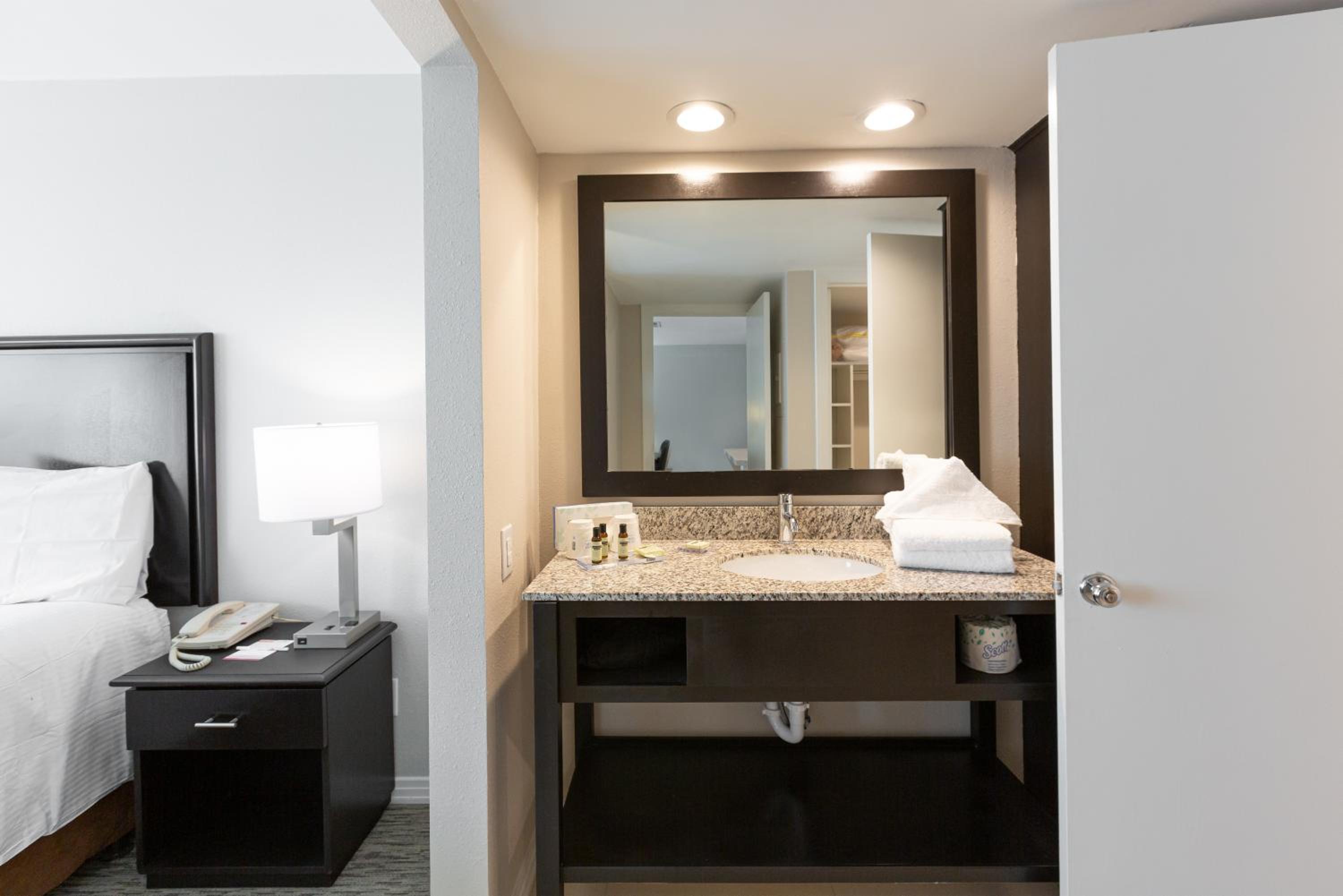 One Bedroom King Suite- Non-Smoking - Photo 8