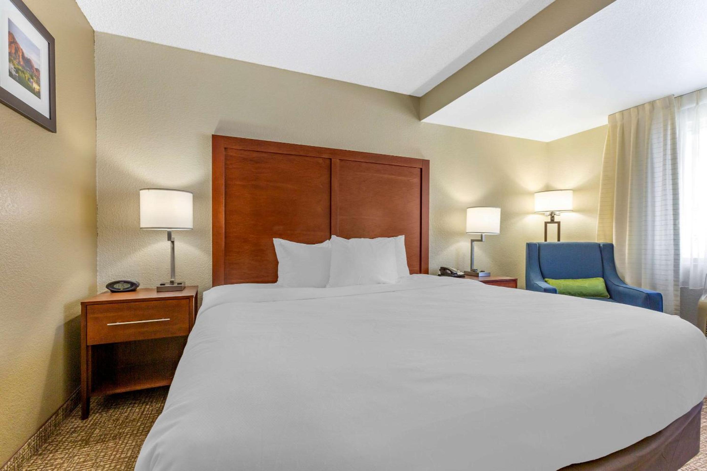 Standard King Room with Roll-in Shower - Accessible/Non-Smoking - Photo 2
