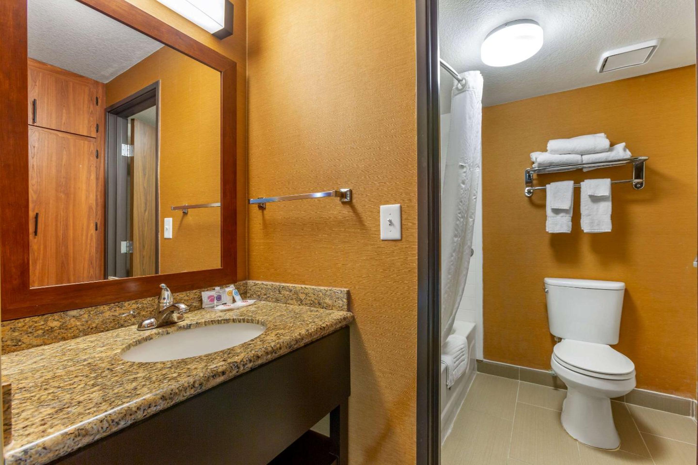 Standard King Room with Roll-in Shower - Accessible/Non-Smoking - Photo 5