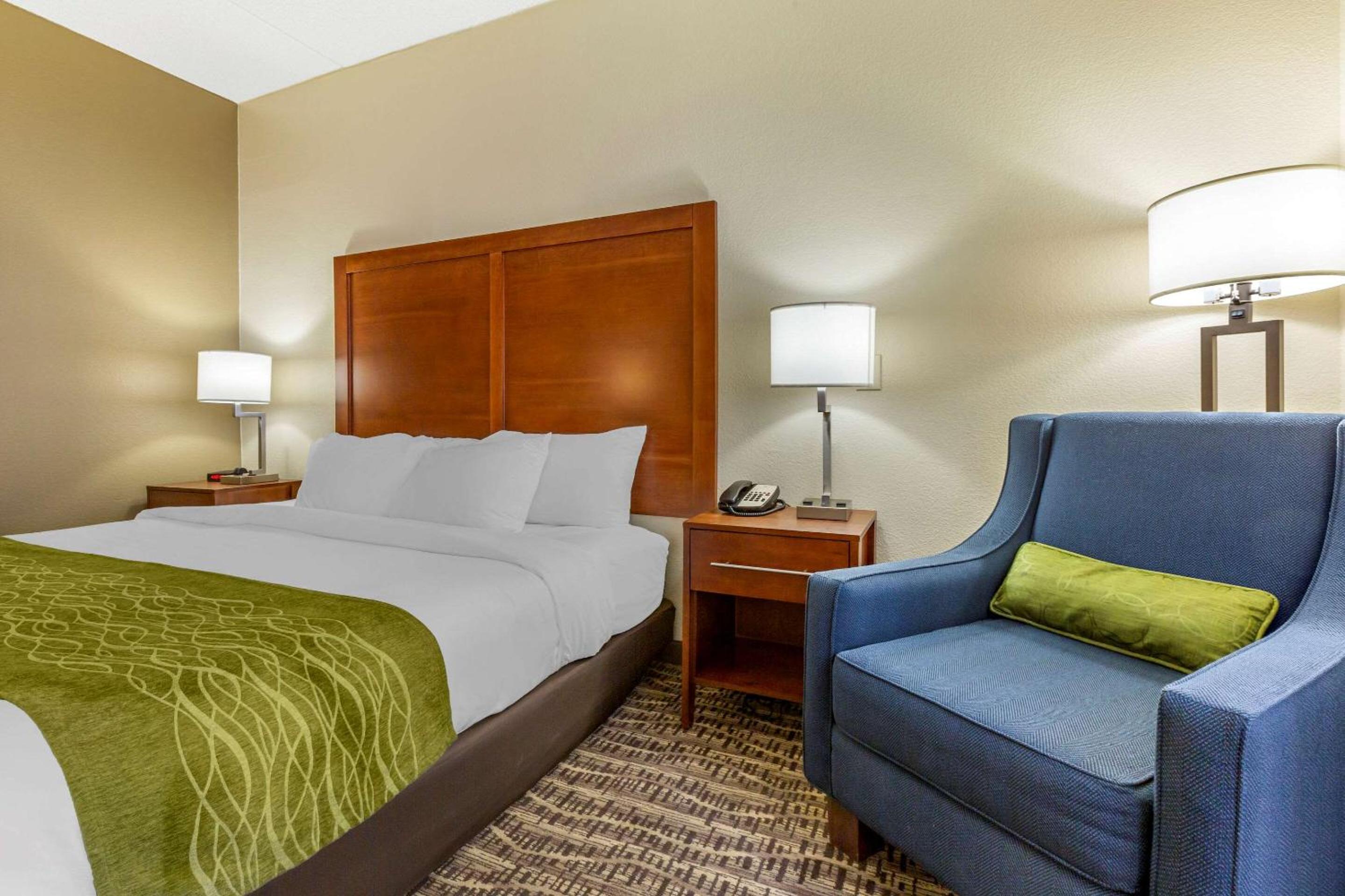 Standard King Room with Roll-in Shower - Accessible/Non-Smoking - Photo 3
