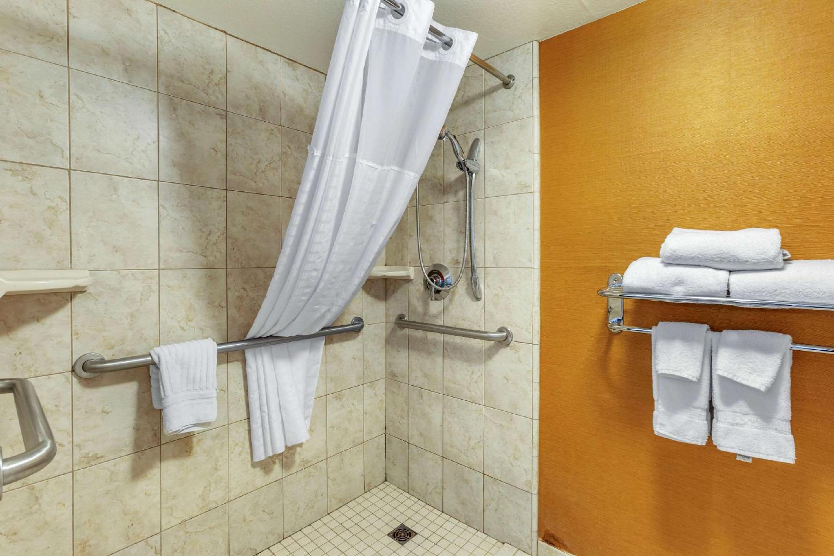 Standard King Room with Roll-in Shower - Accessible/Non-Smoking - Photo 8