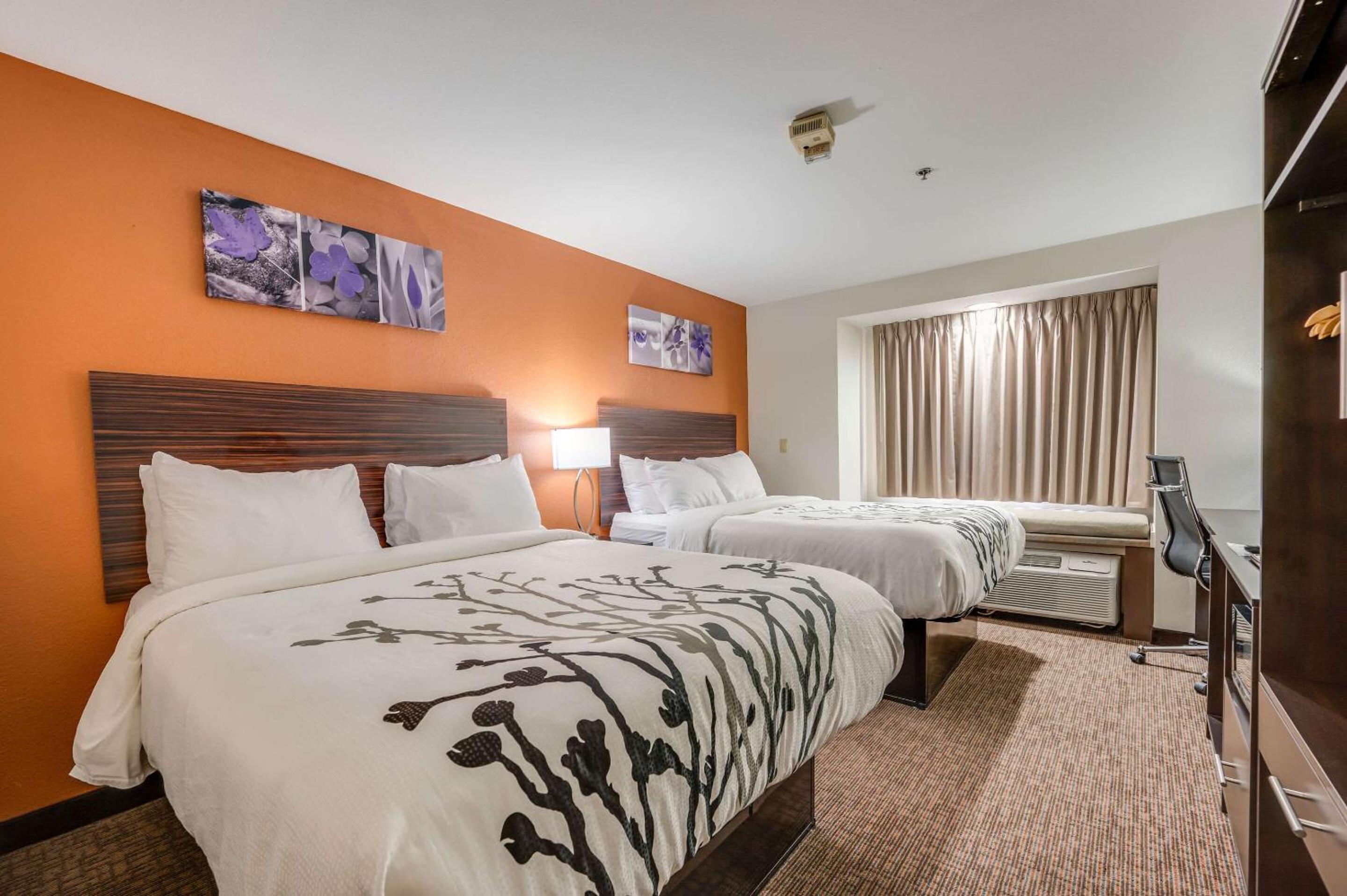 Queen Room with Two Queen Beds - Accessible/Non-Smoking  - Photo 4