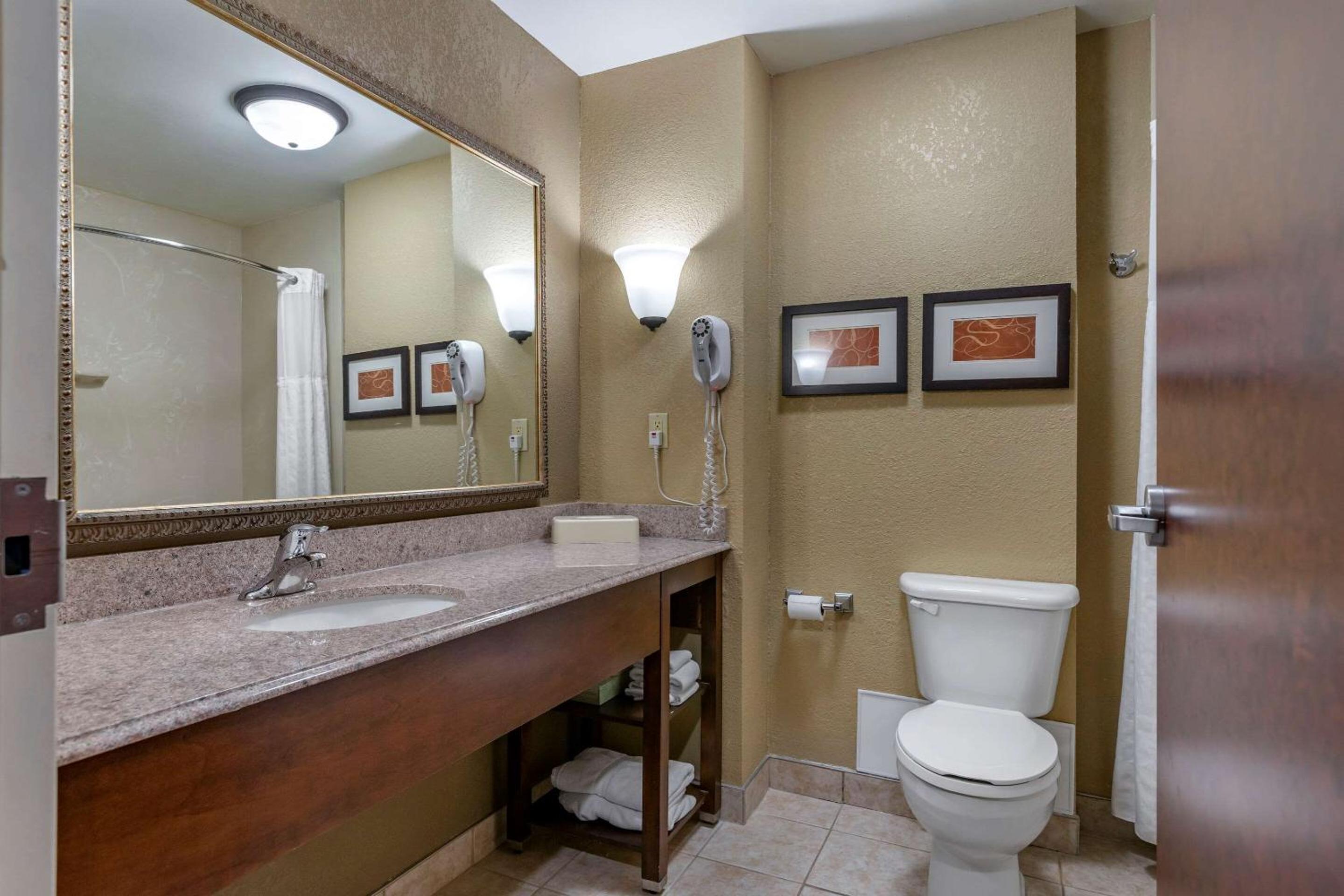 Deluxe King Suite - Non Pet Friendly - Photo 3