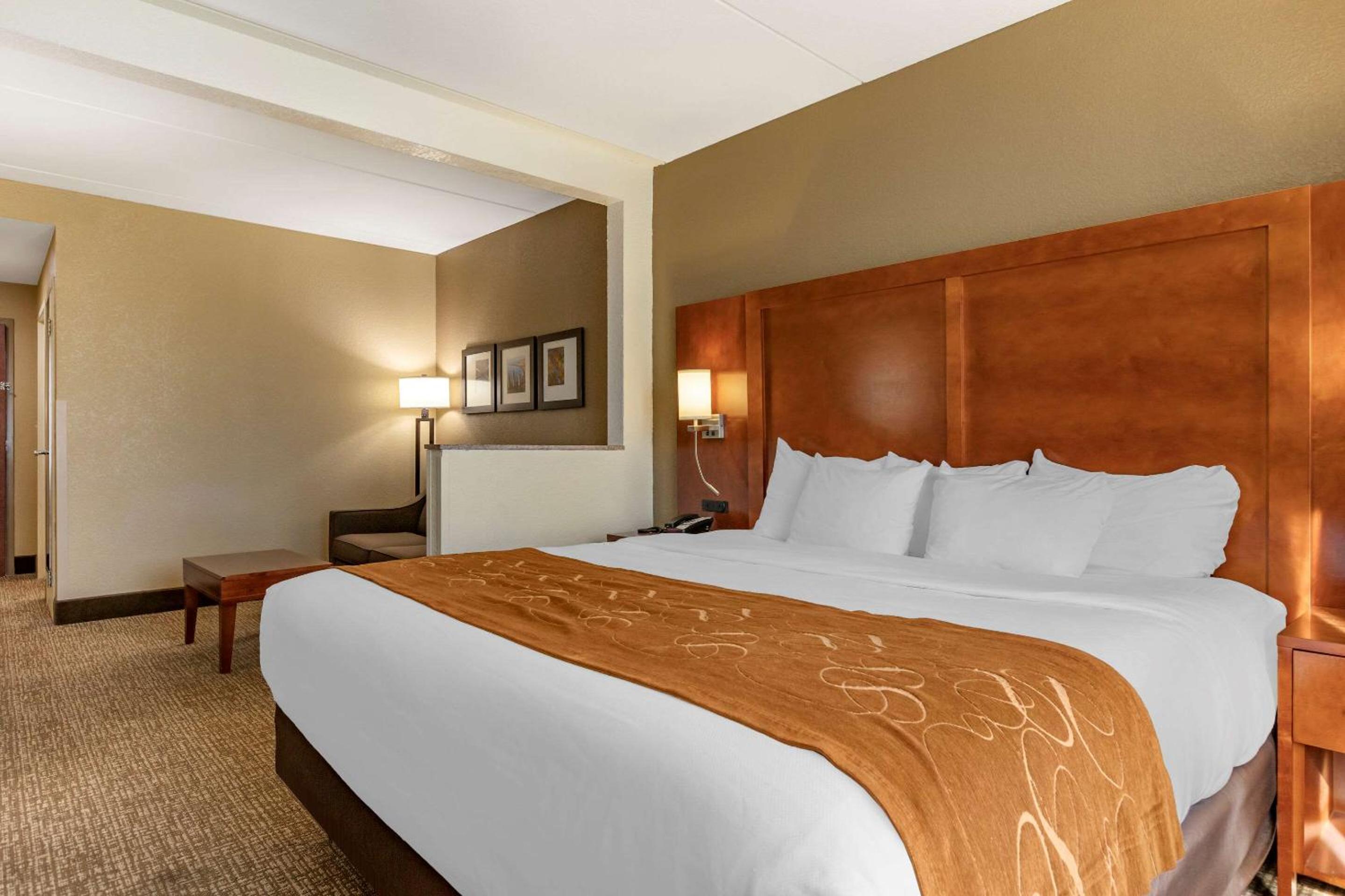 Deluxe King Suite - Non Pet Friendly - Photo 1