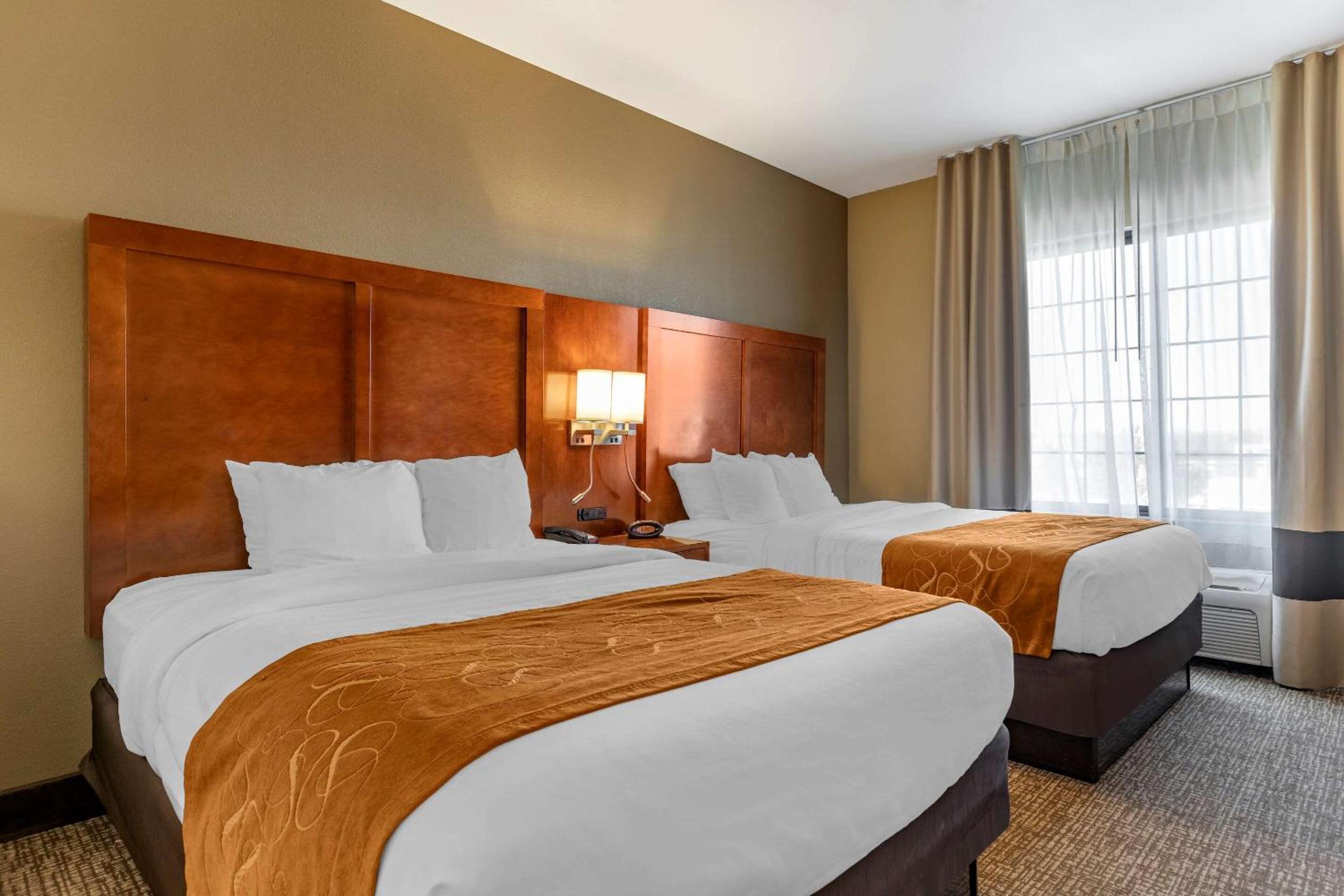 Deluxe Queen Suite with Two Queen Beds - Non Pet Friendly - Photo 1