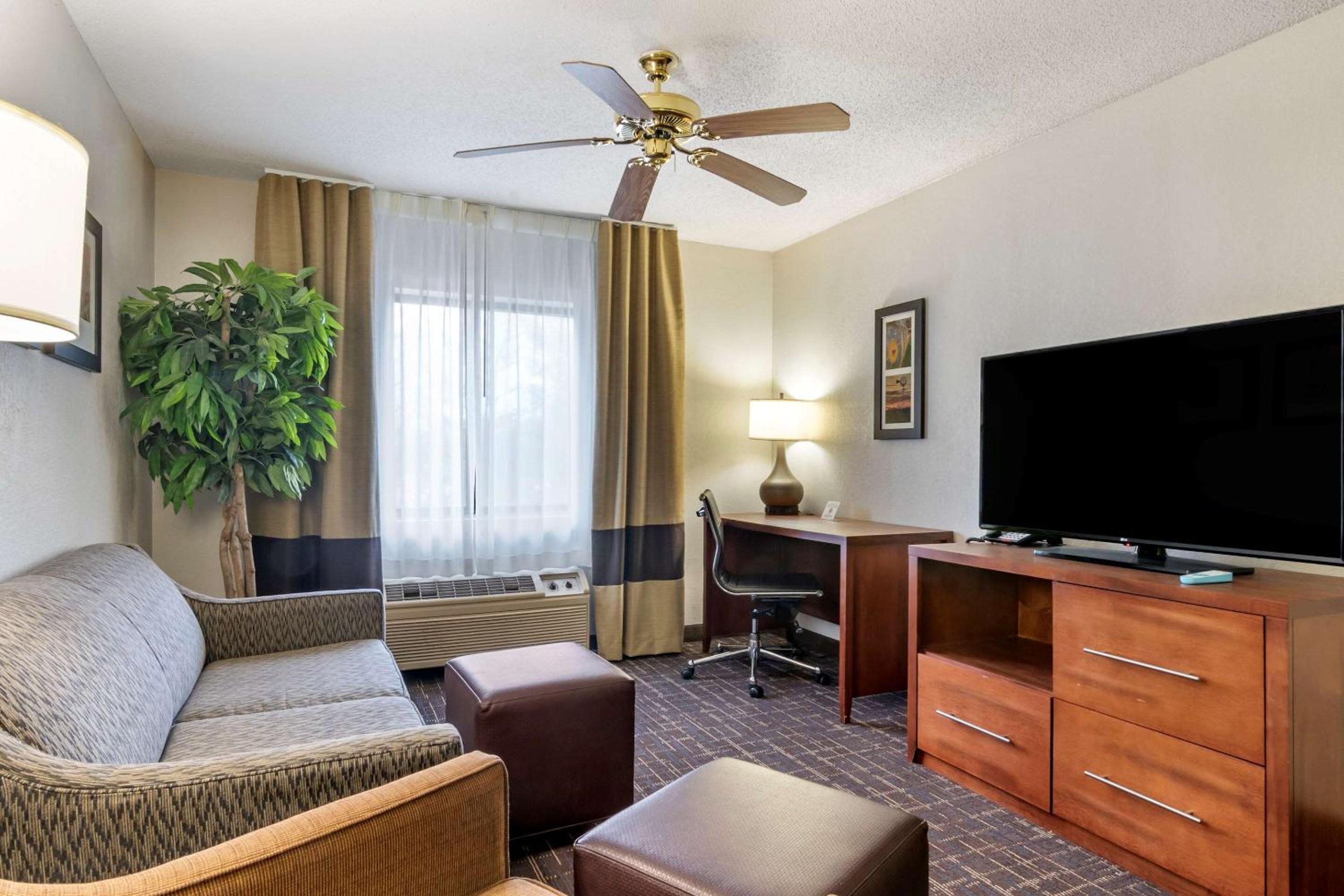 King Suite - Non-Smoking - Photo 4