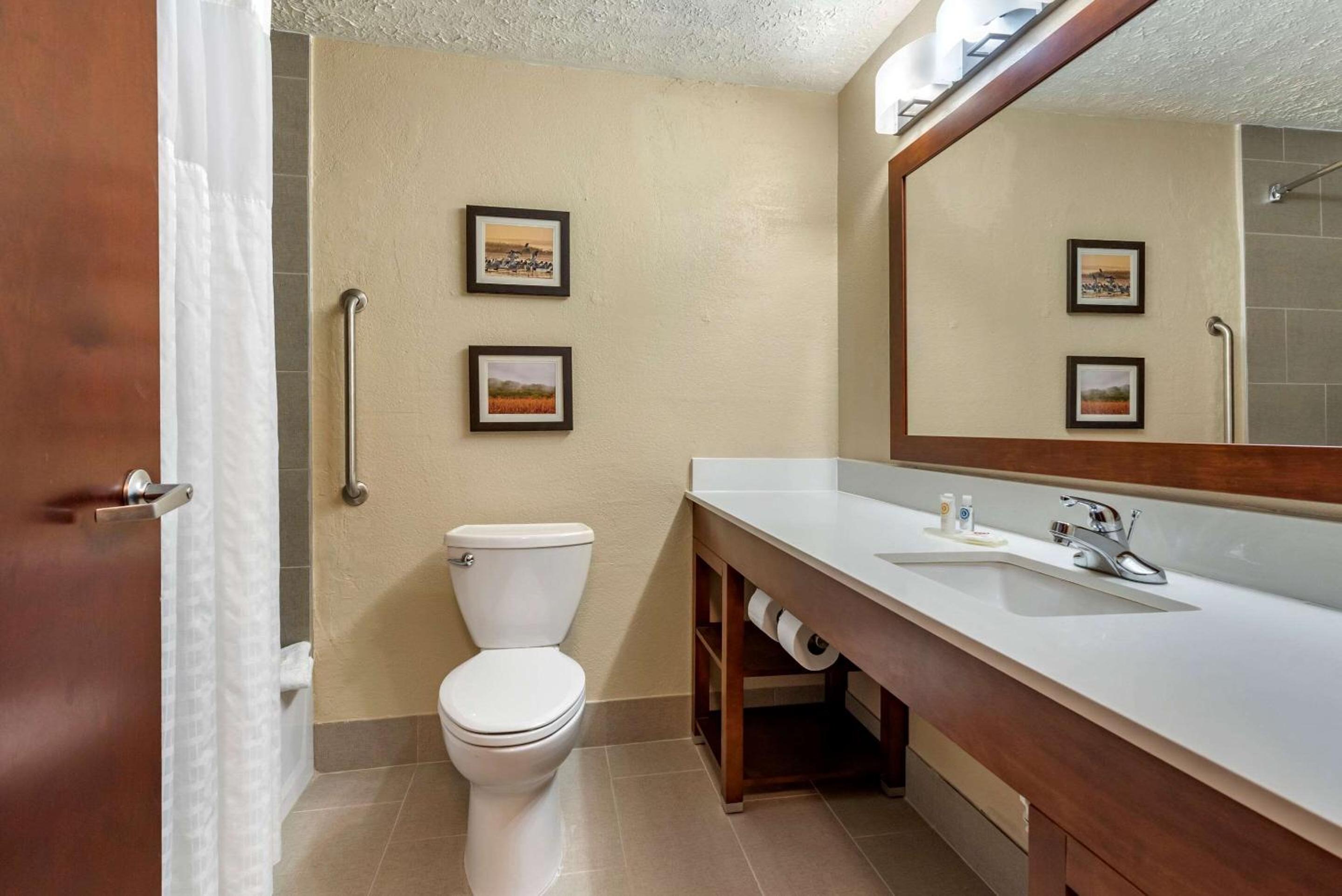 King Room - Non-Smoking - Photo 4