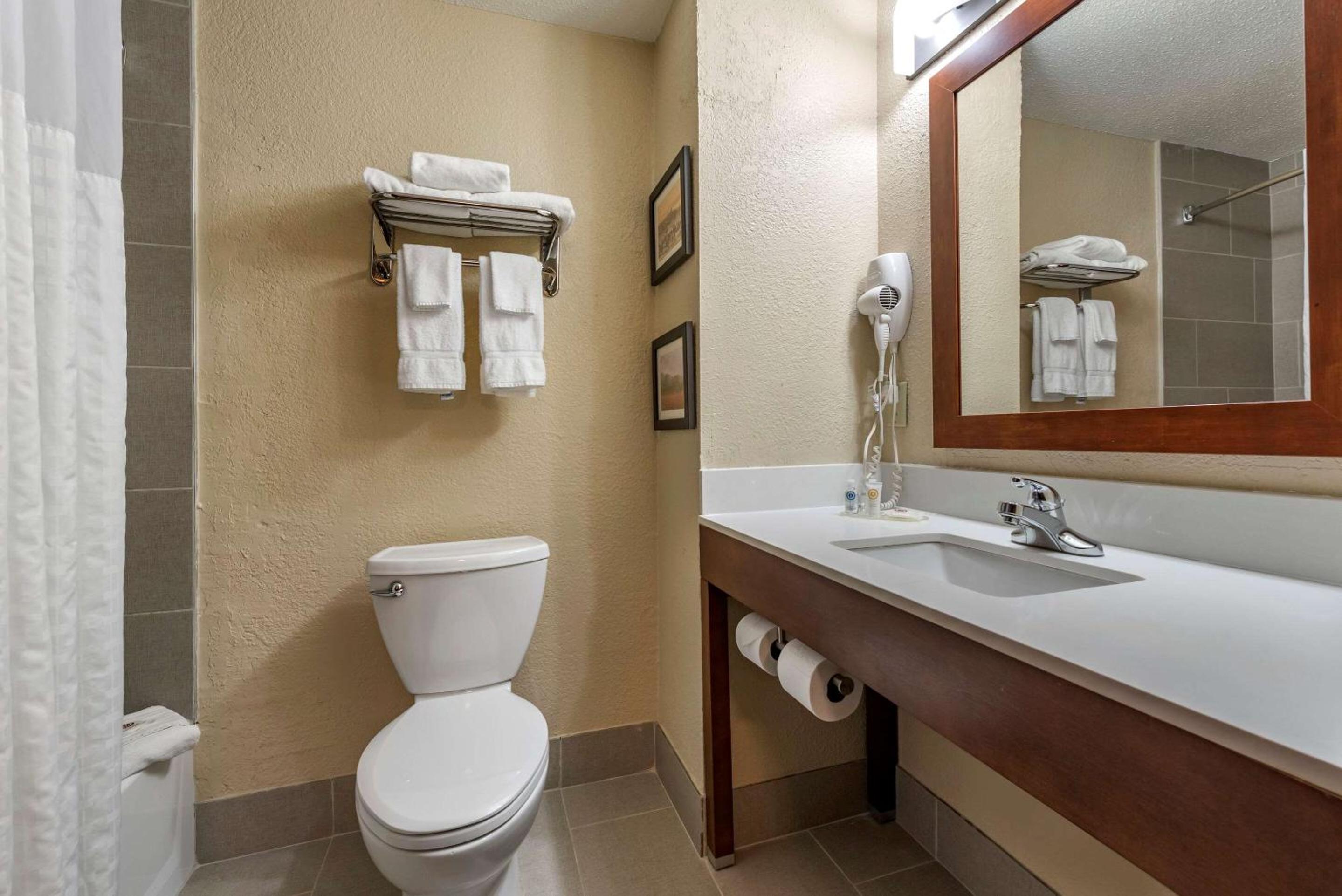 King Room with Wet Bar - Non Smoking - Photo 3