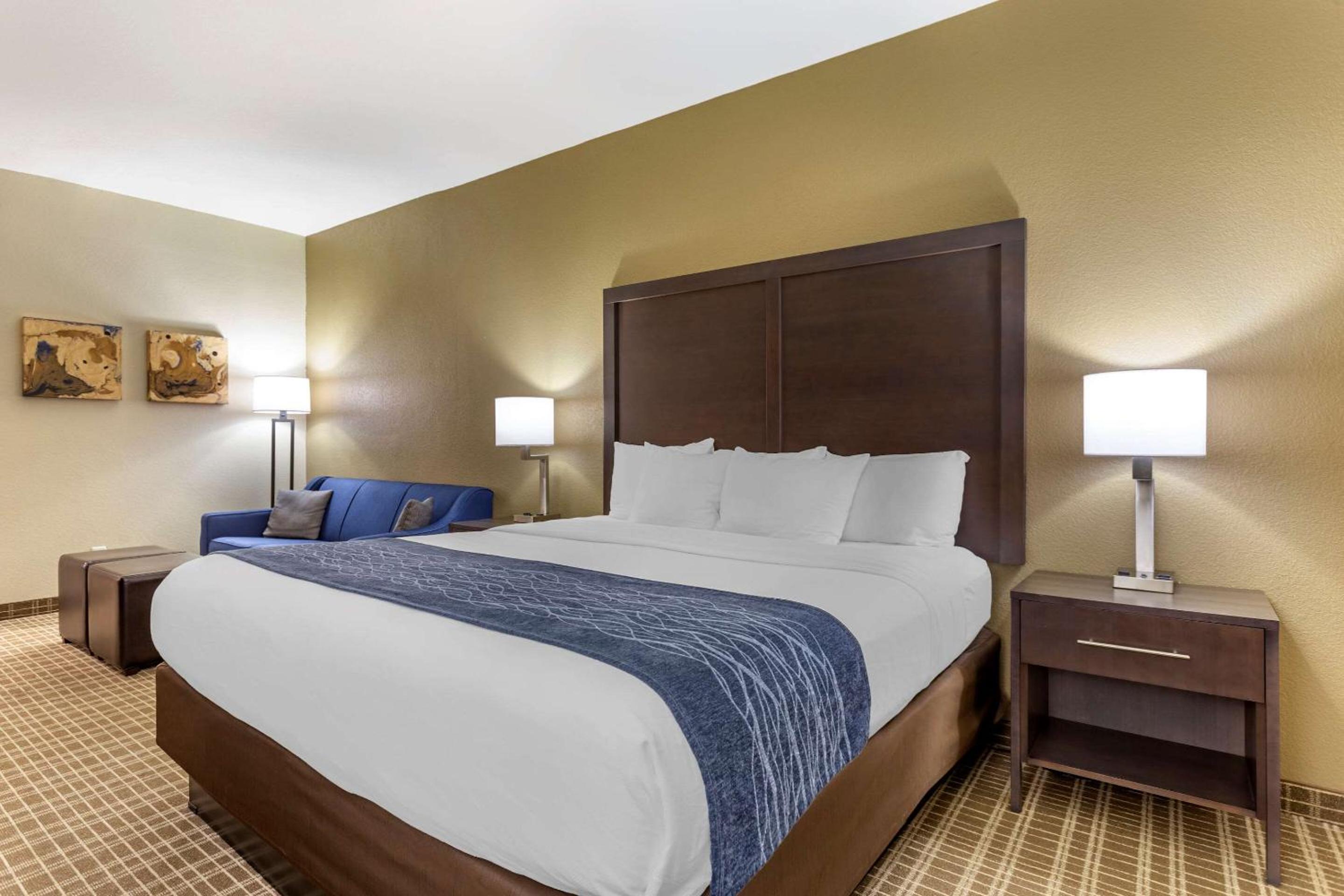 King Suite with Sofa Bed - Non-Smoking - Photo 7