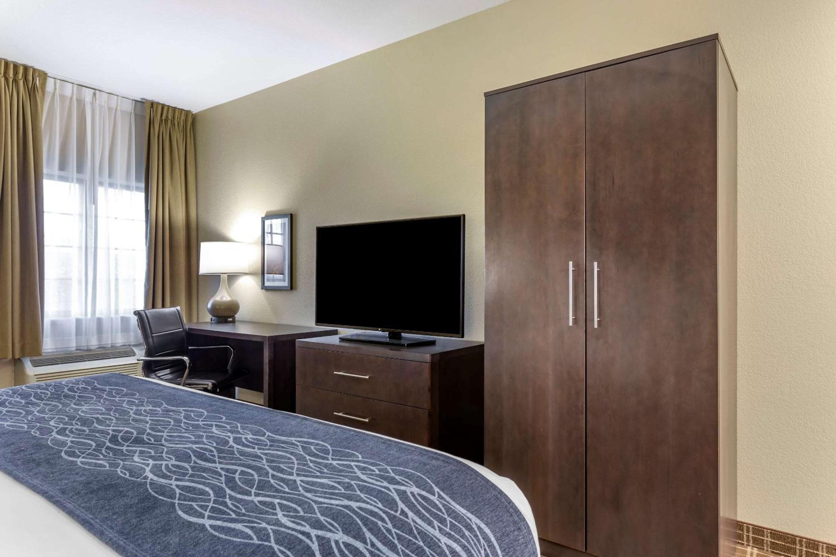 King Suite with Sofa Bed - Non-Smoking - Photo 8