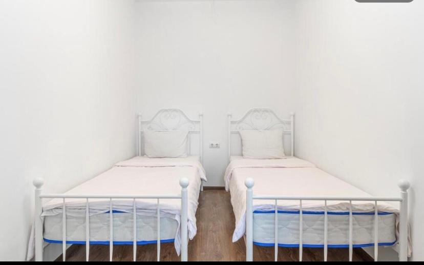 Family Suite photo 2