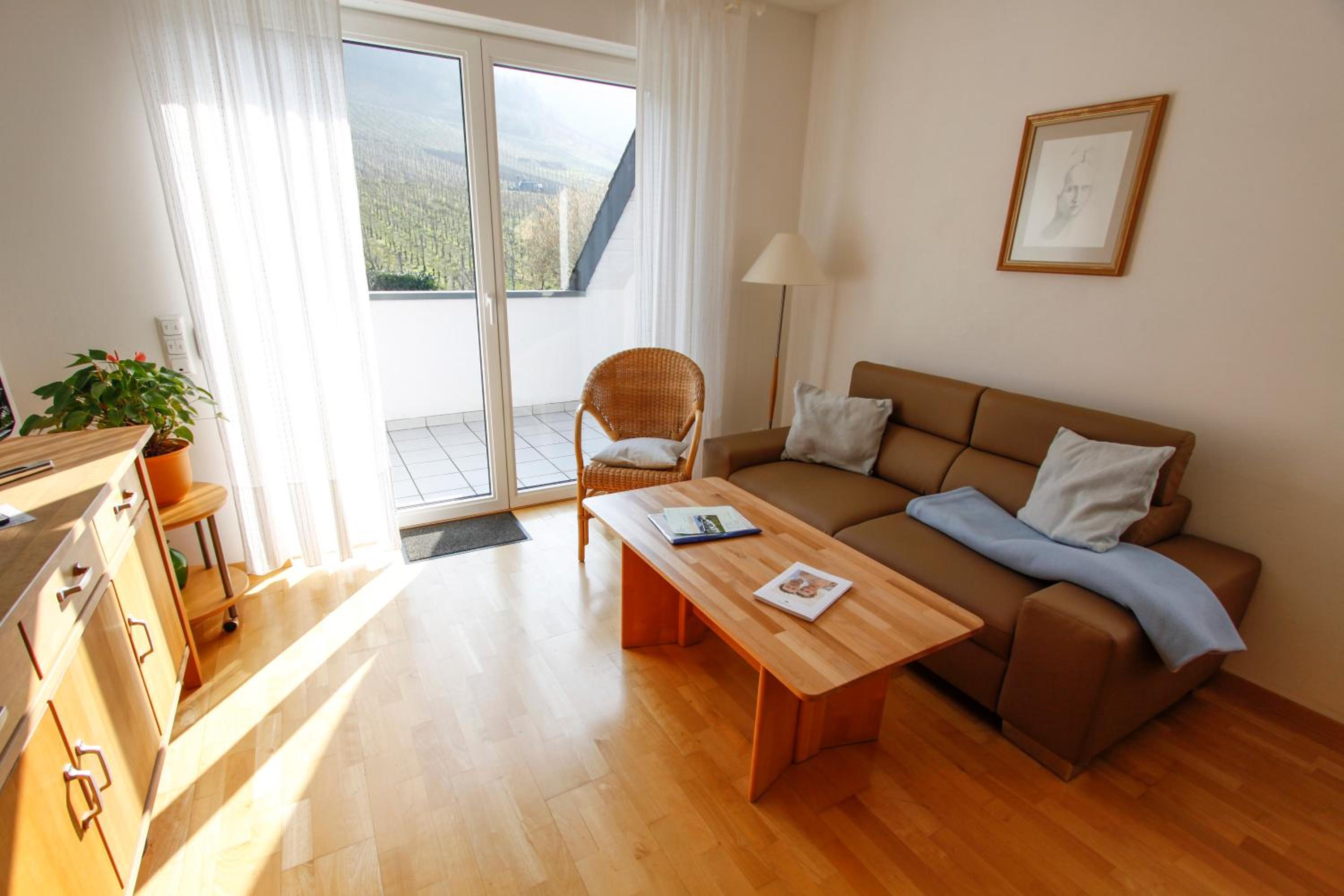 One-Bedroom Apartment with Balcony or Terrace