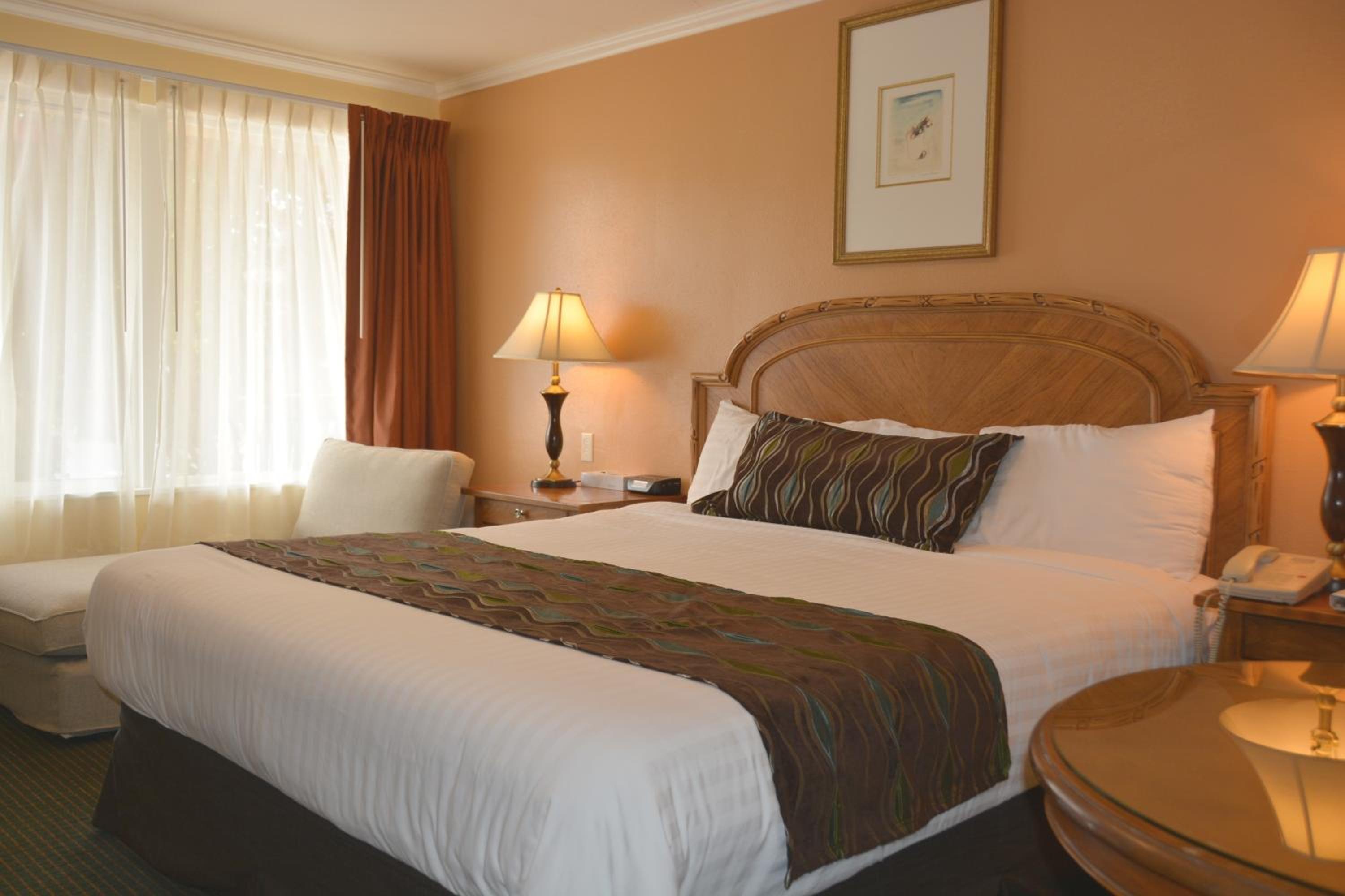 King Room photo 1