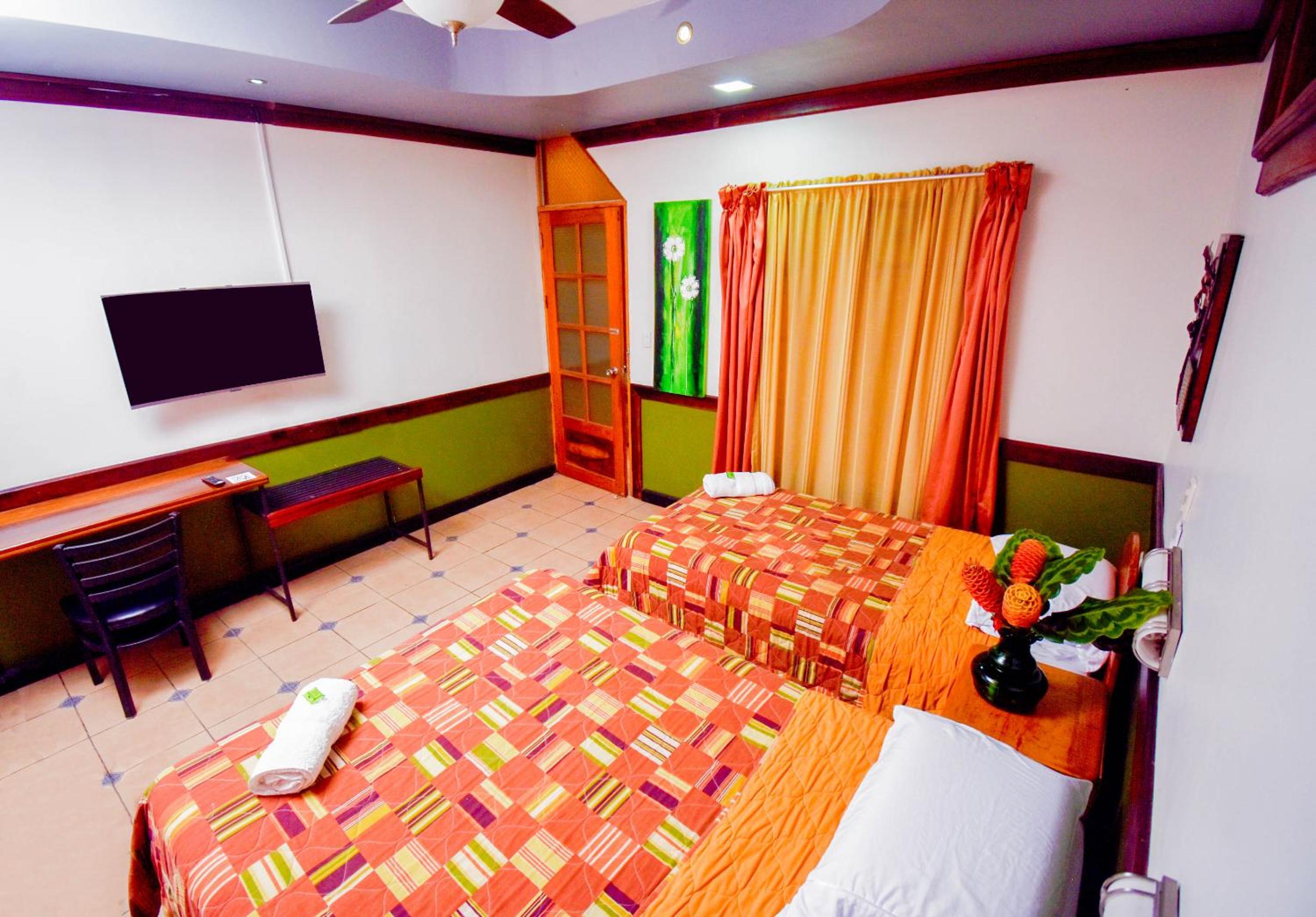 Twin Room photo 2