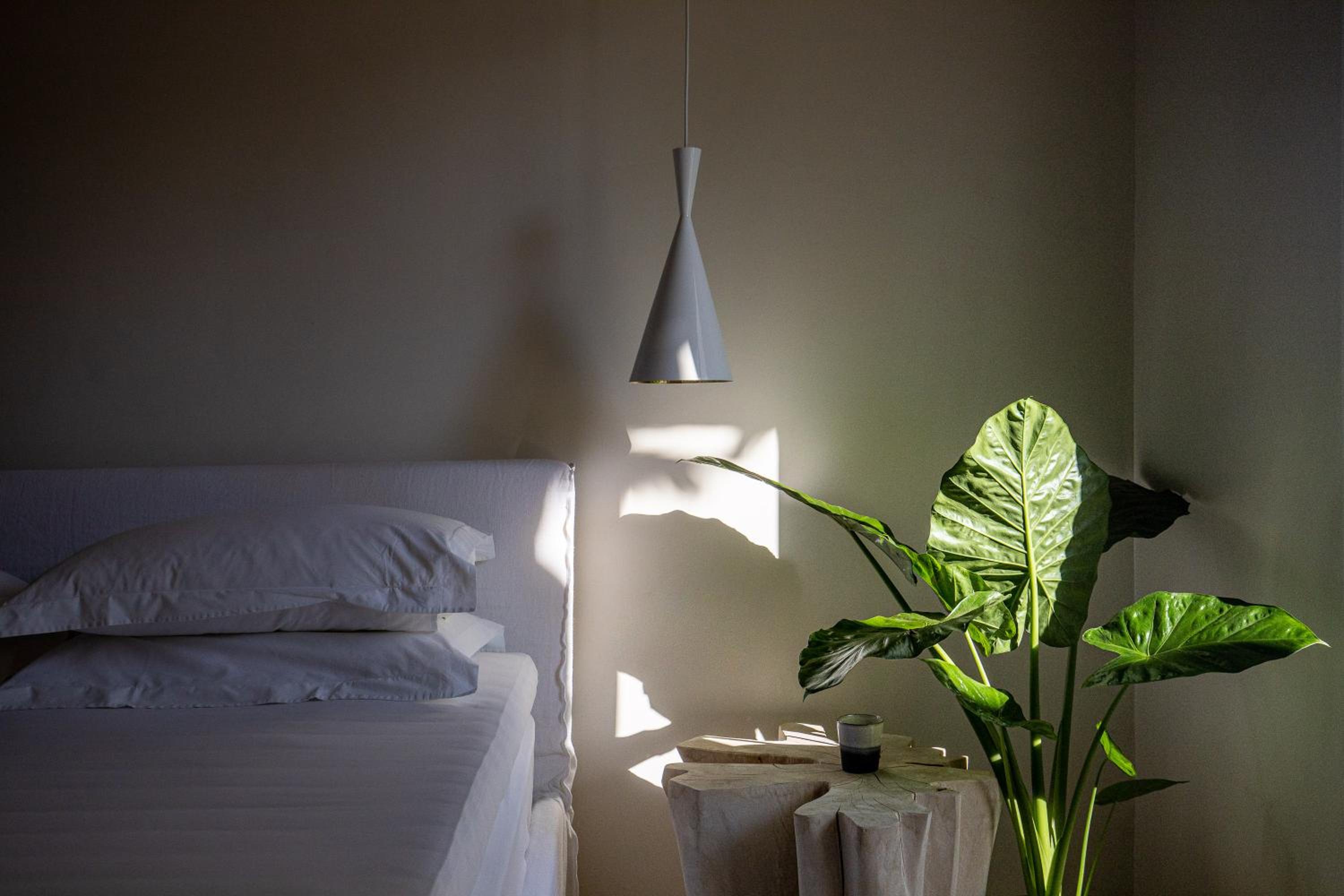 Studio with Garden View