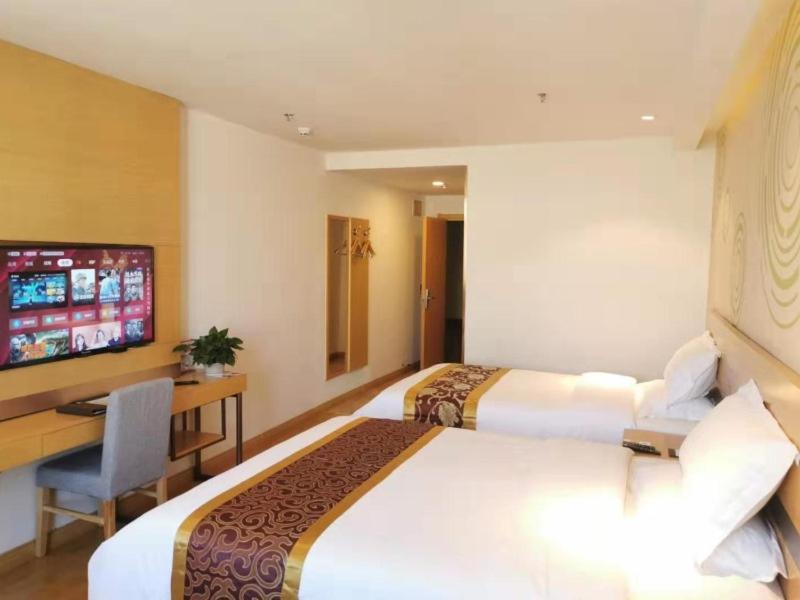 Executive Twin Room photo 1