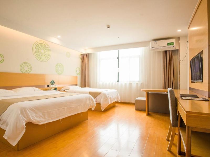 Twin Room - Photo 4