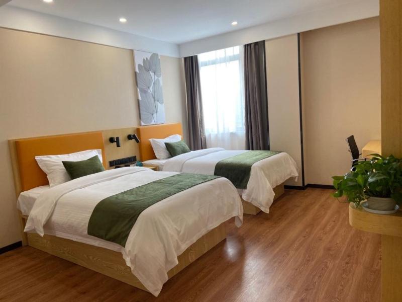 Twin Room - Photo 5
