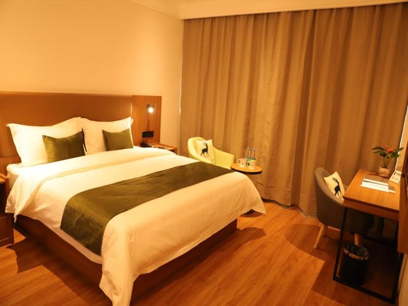 Executive Double Room photo 1