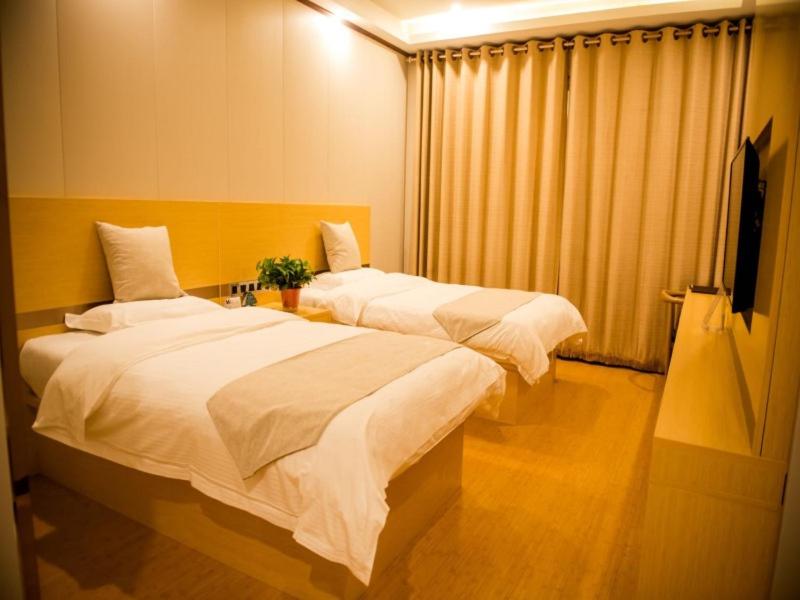 Twin Room photo 2