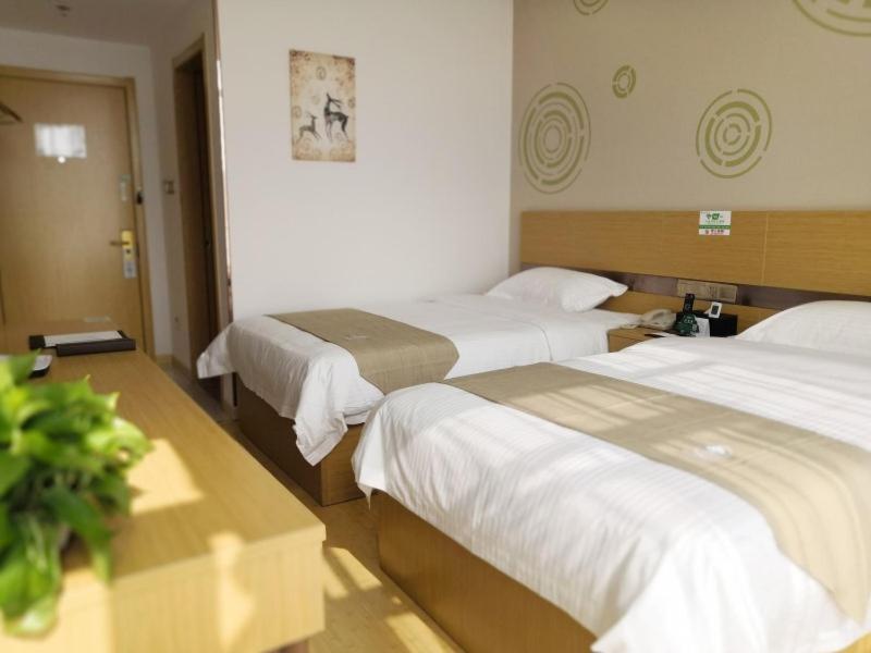 Executive Twin Room