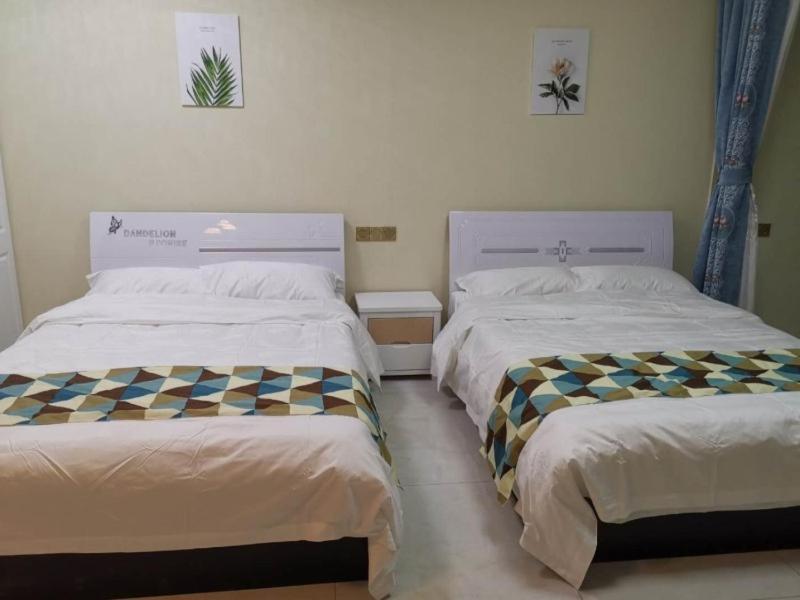 Superior Twin Room photo 2