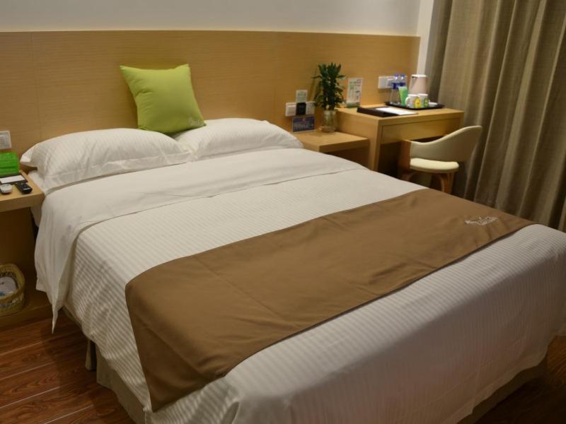 Single Room - Photo 17