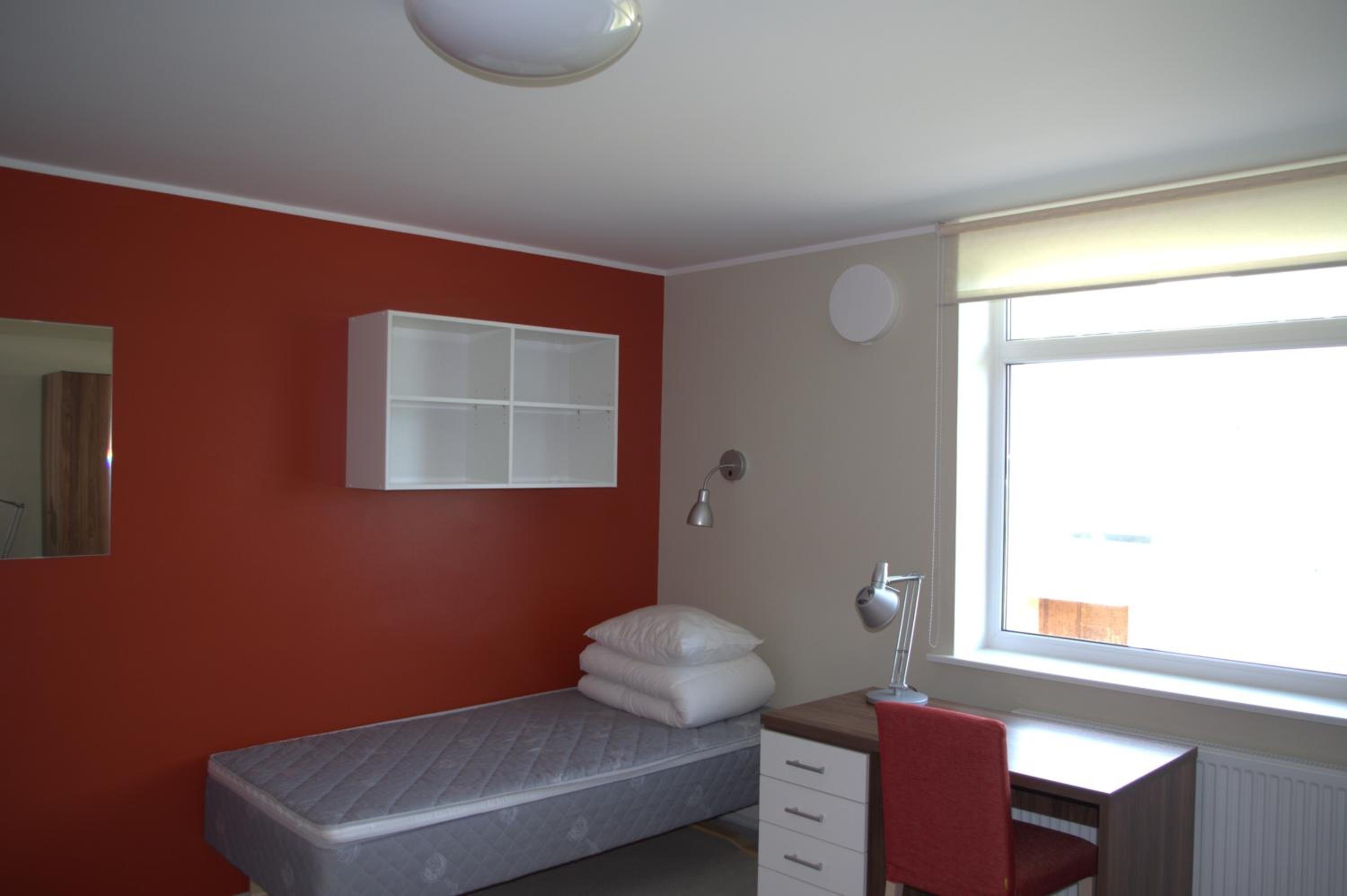 Studio Apartment with Handicapped Access photo 1
