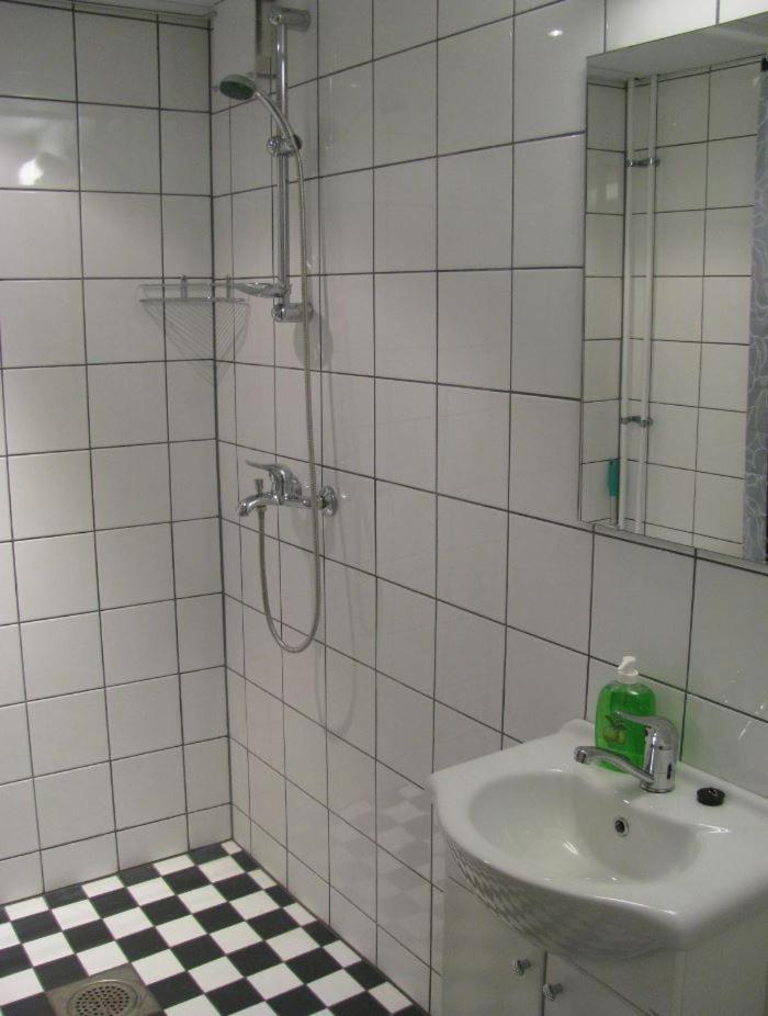 Studio Apartment with Handicapped Access photo 2