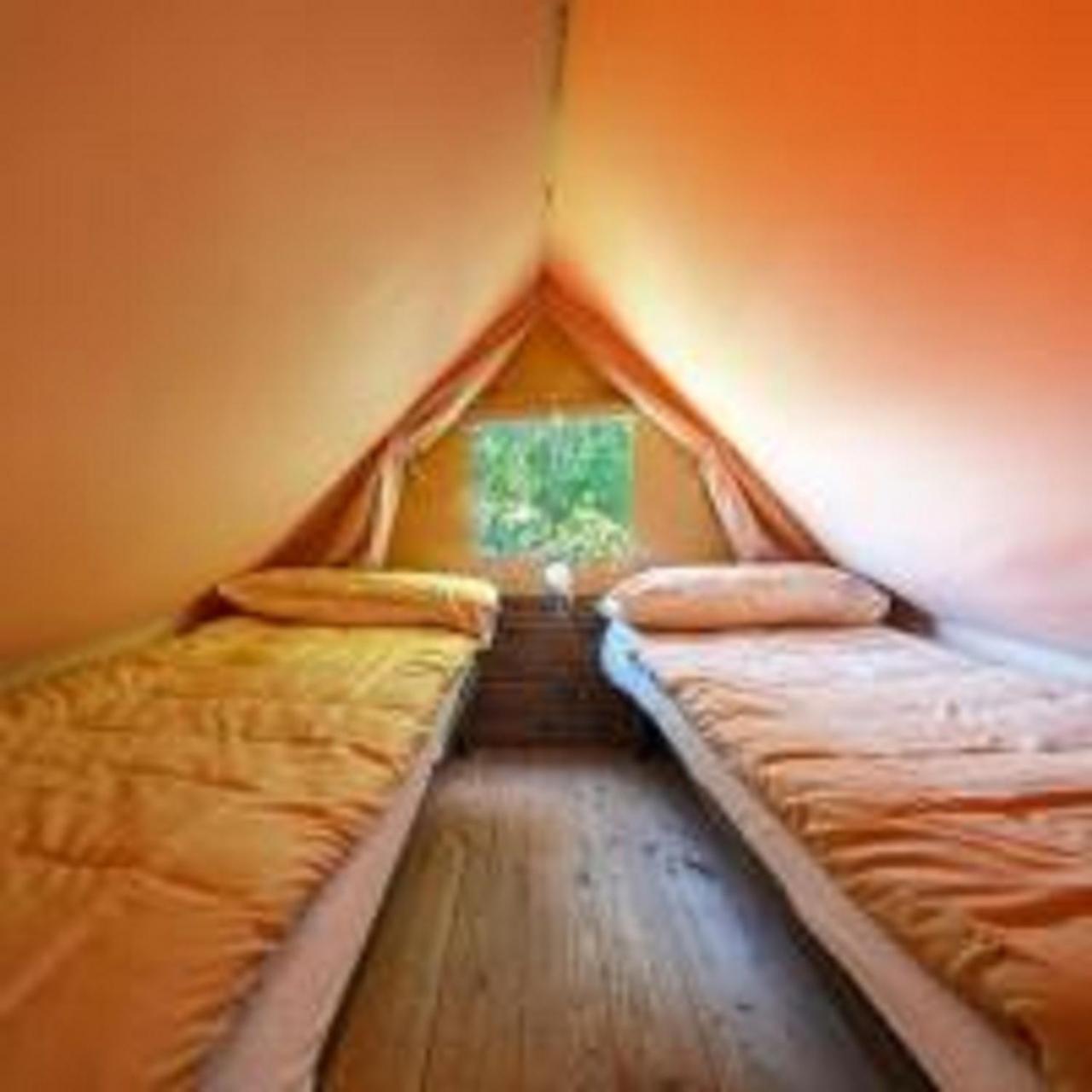 Standard Tent Split Level with Shared Bathroom