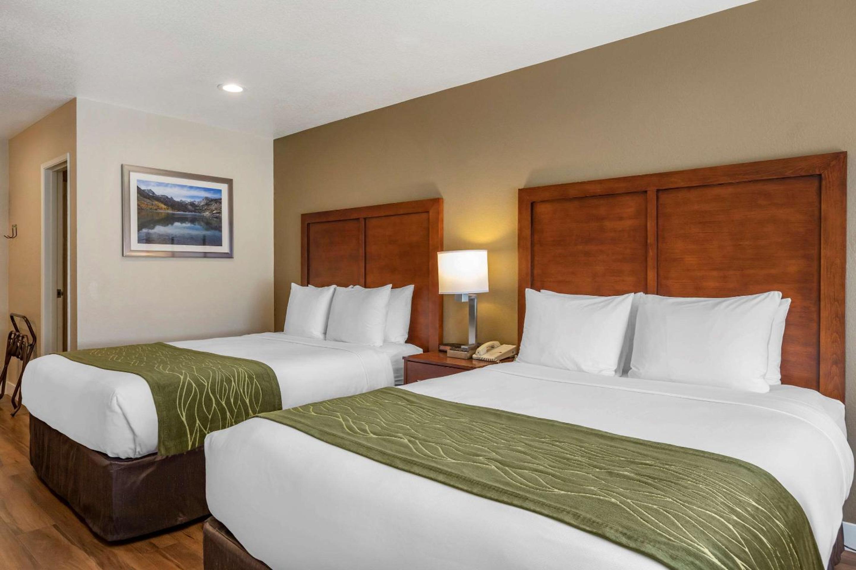 Suite with Three Queen Beds - Accessible/Non-Smoking - Photo 3