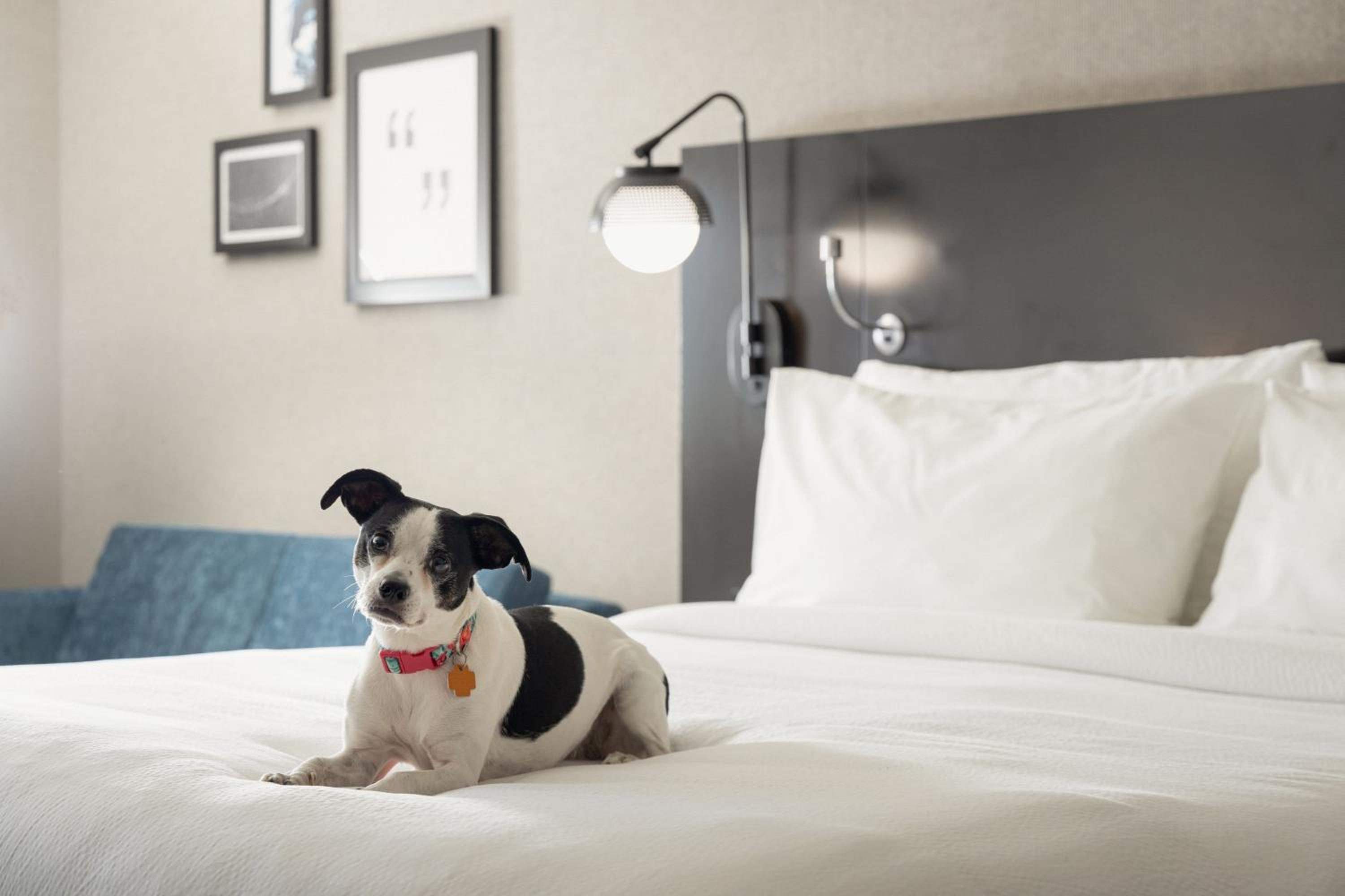 Double Room with Two Double Beds and Bathtub - Mobility Access/Hearing Accessible