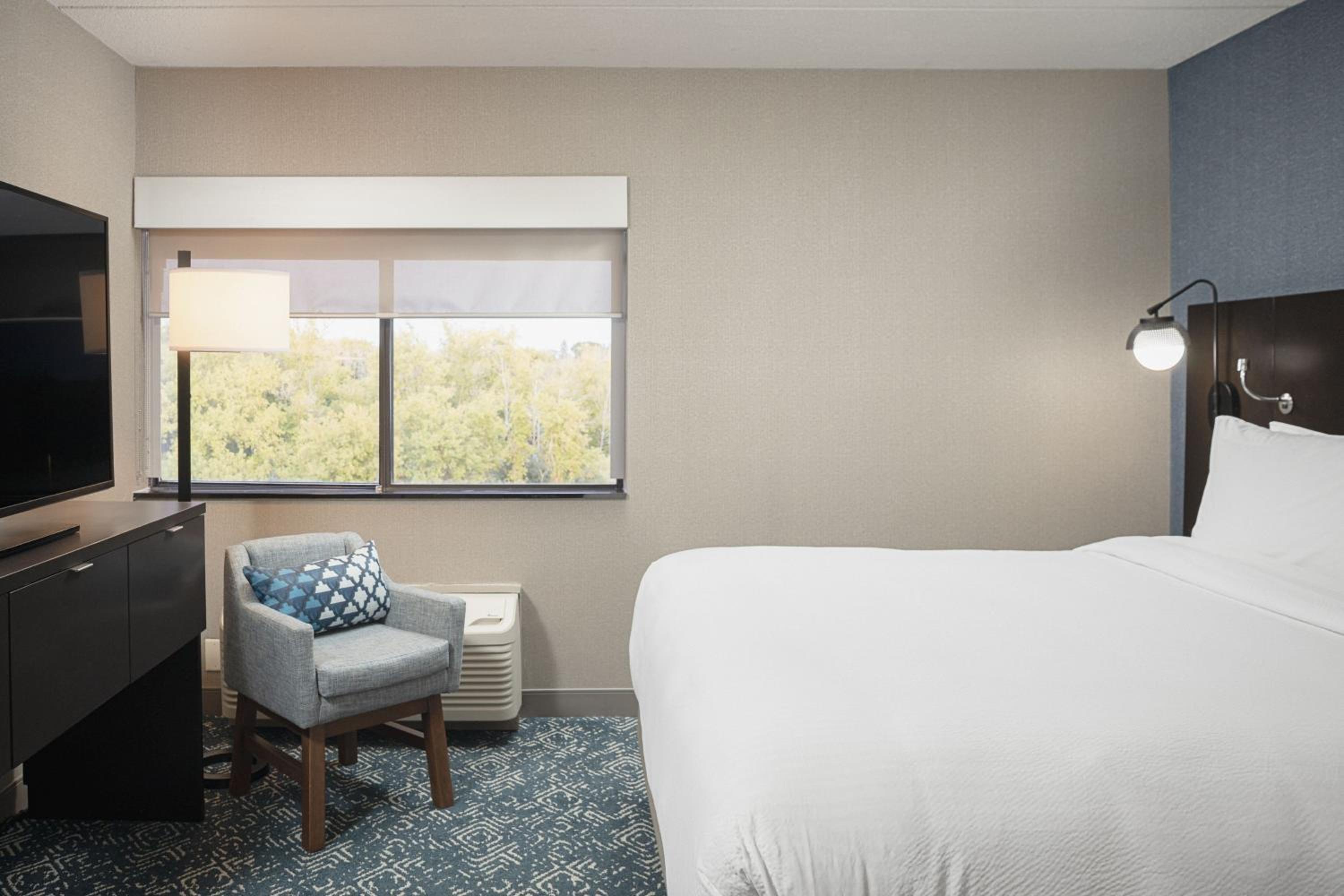 One-Bedroom King Suite with Sofa Bed - Hearing Accessible