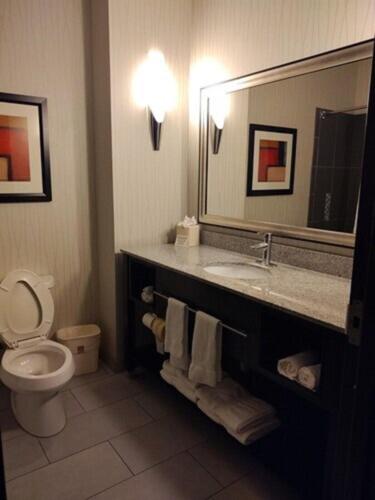 King Suite - Non-Smoking photo 3