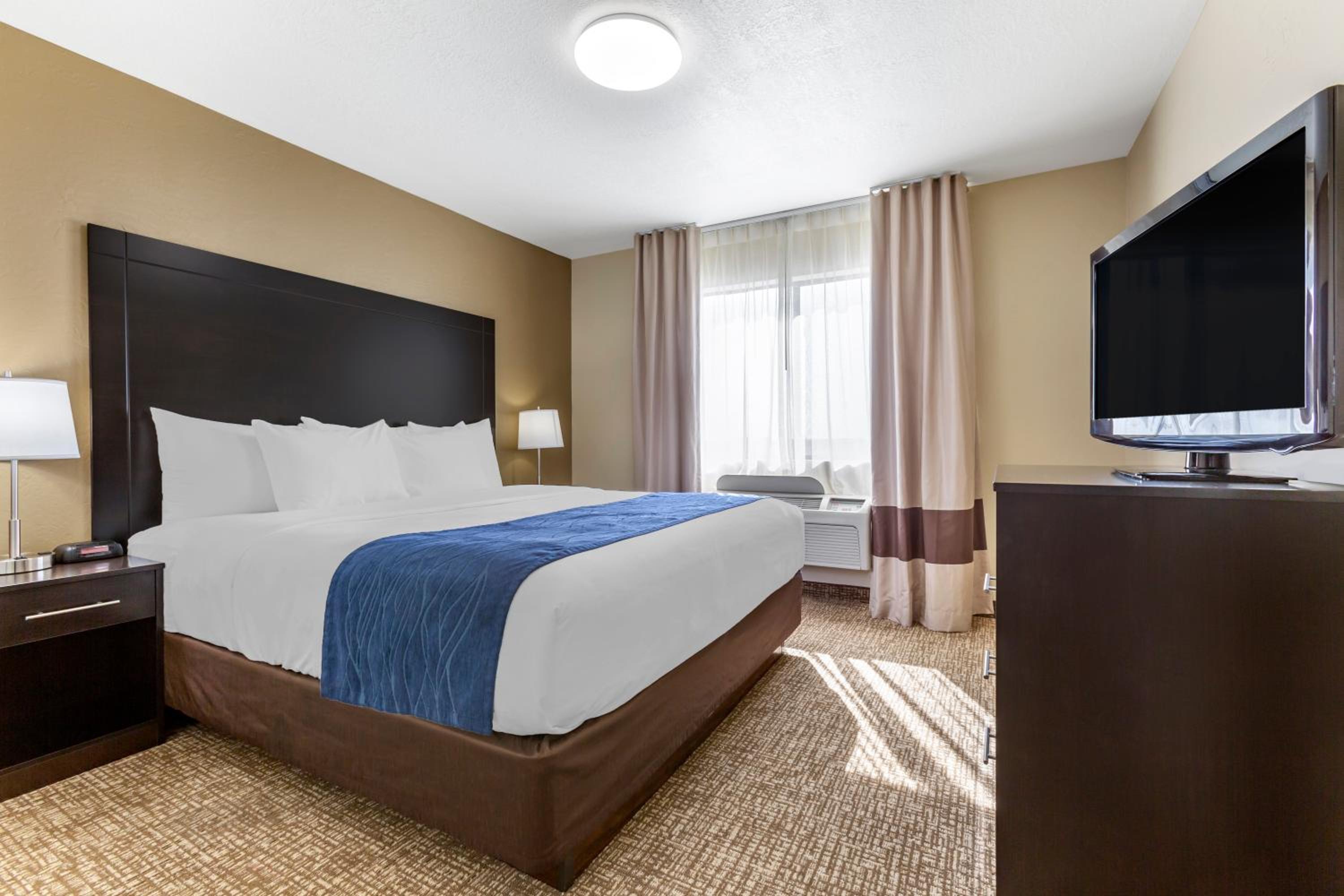 Superior King Suite with Living Room - Non-Smoking - Photo 3