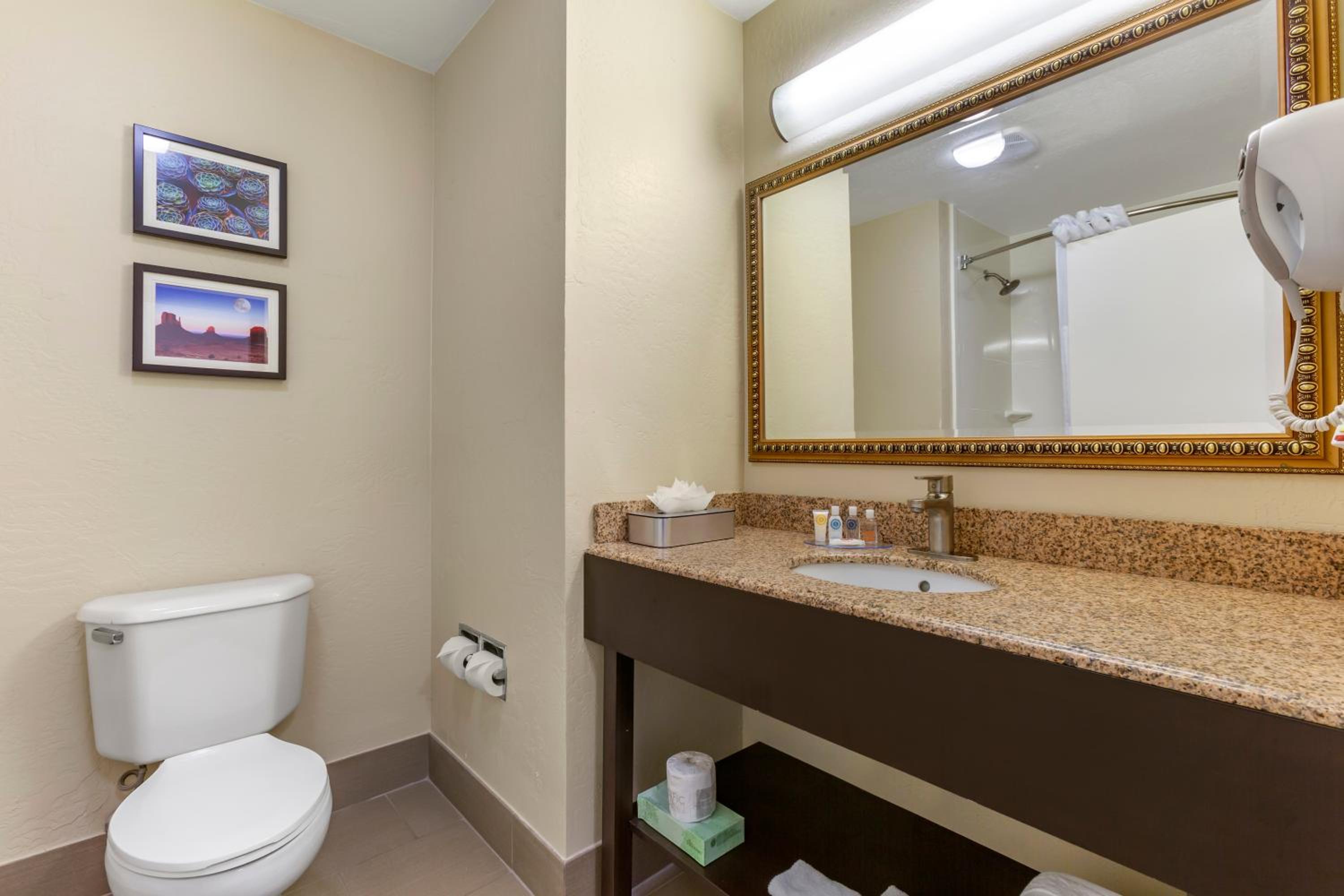Superior King Suite with Living Room - Non-Smoking - Photo 4