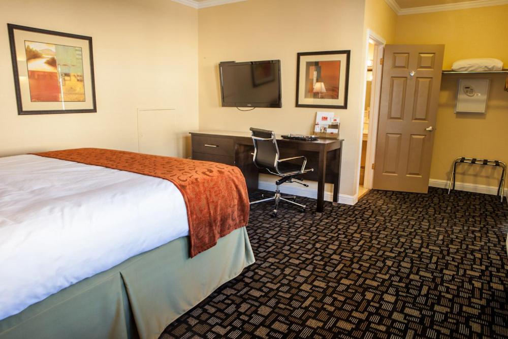 King Suite - Photo 5