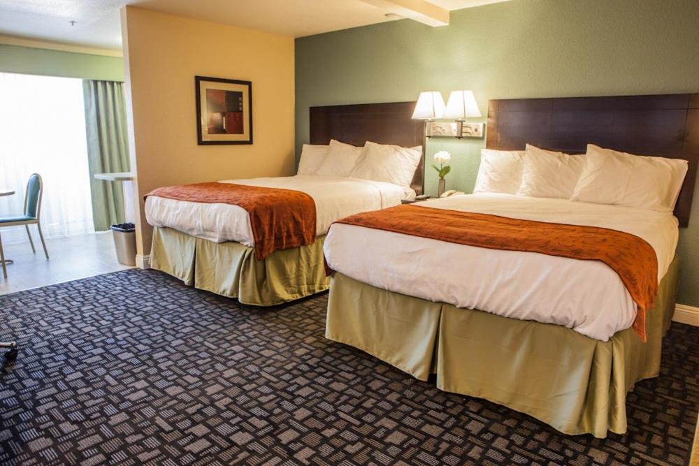 Queen Suite - Photo 2