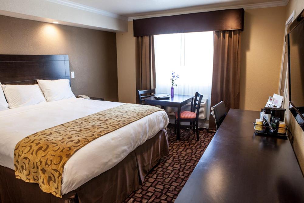 Standard King Room - Photo 5