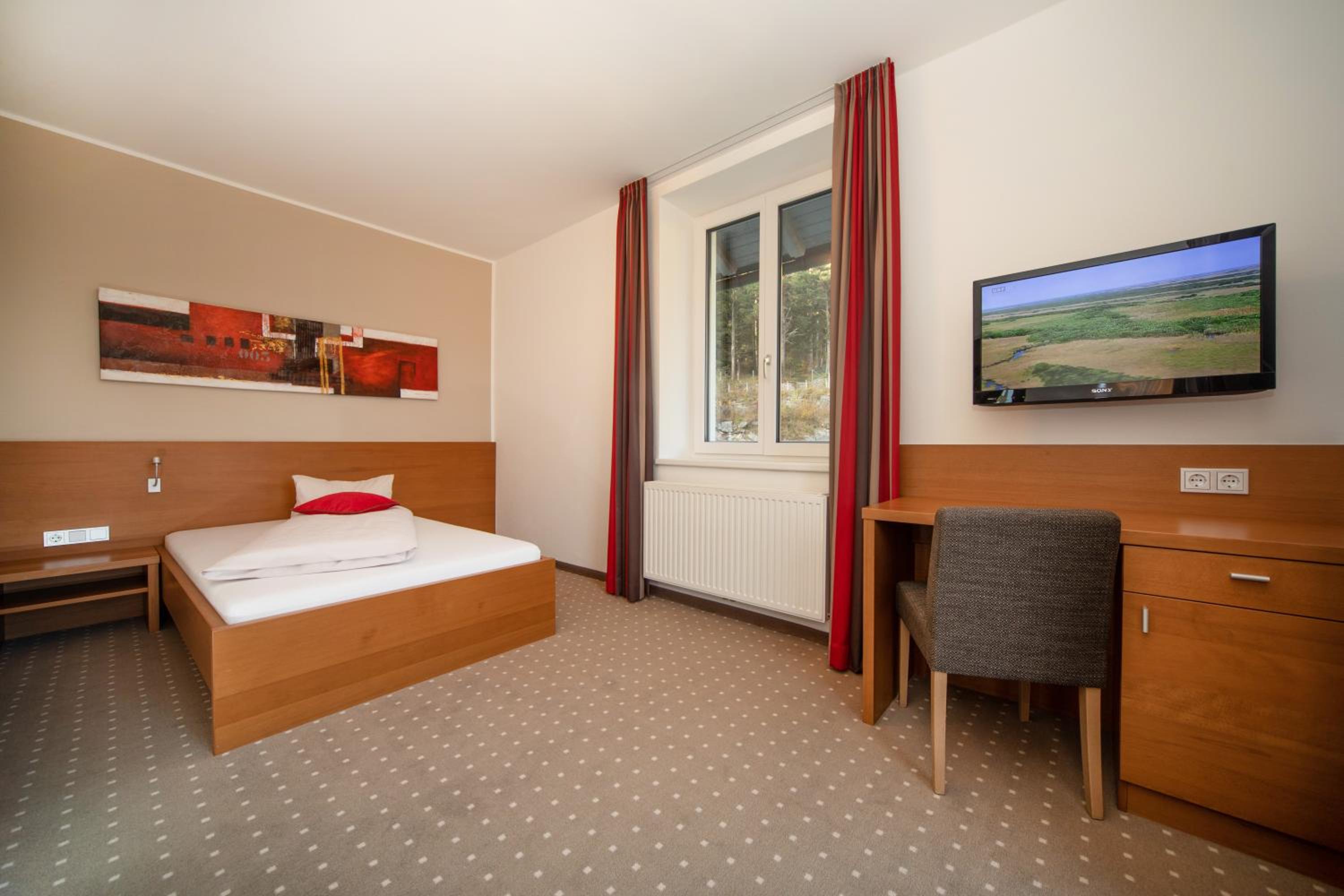Single Room photo 2